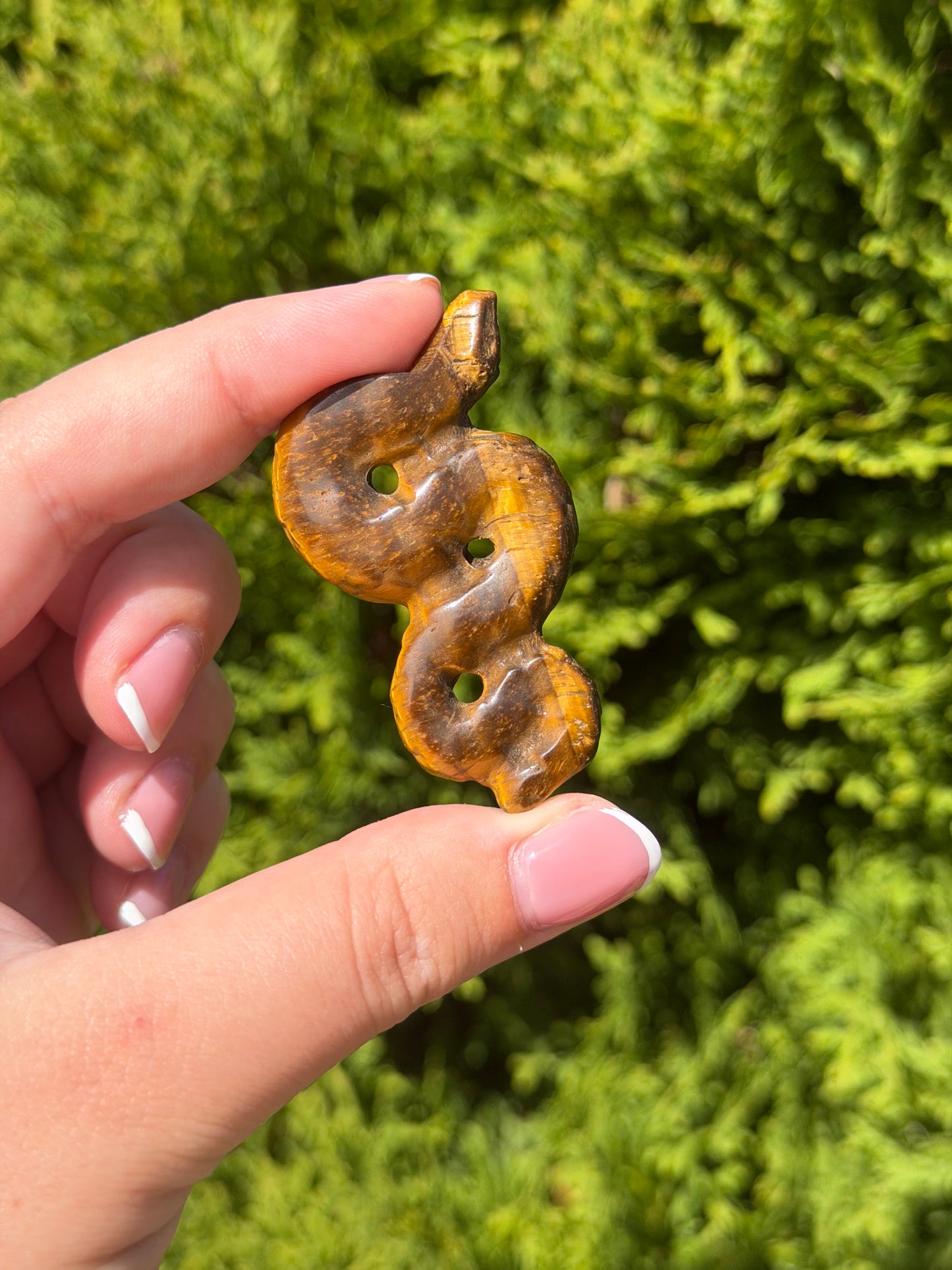 Tiger’s Eye Snake