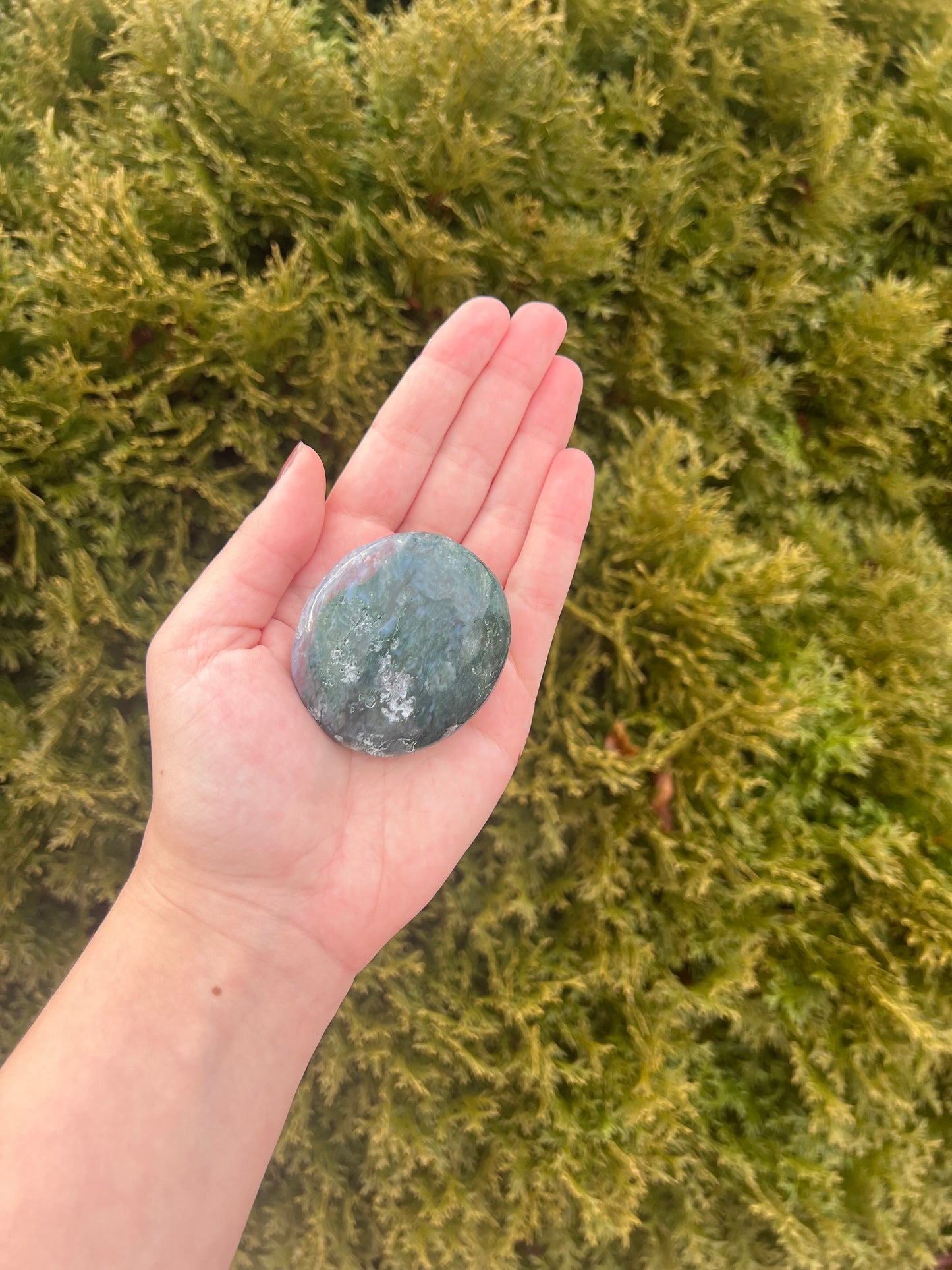 Ocean Jasper Palm Stone