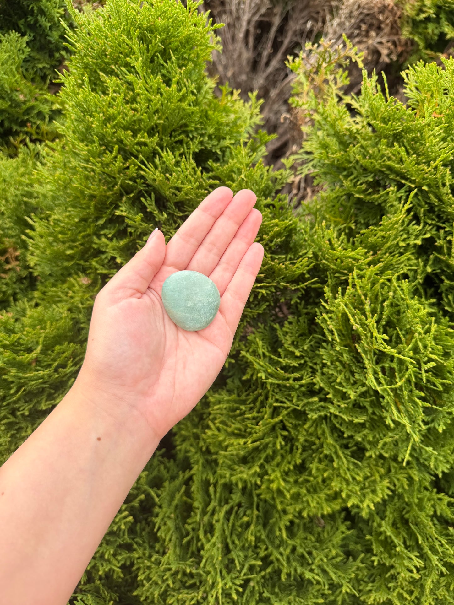Amazonite Palm Stone