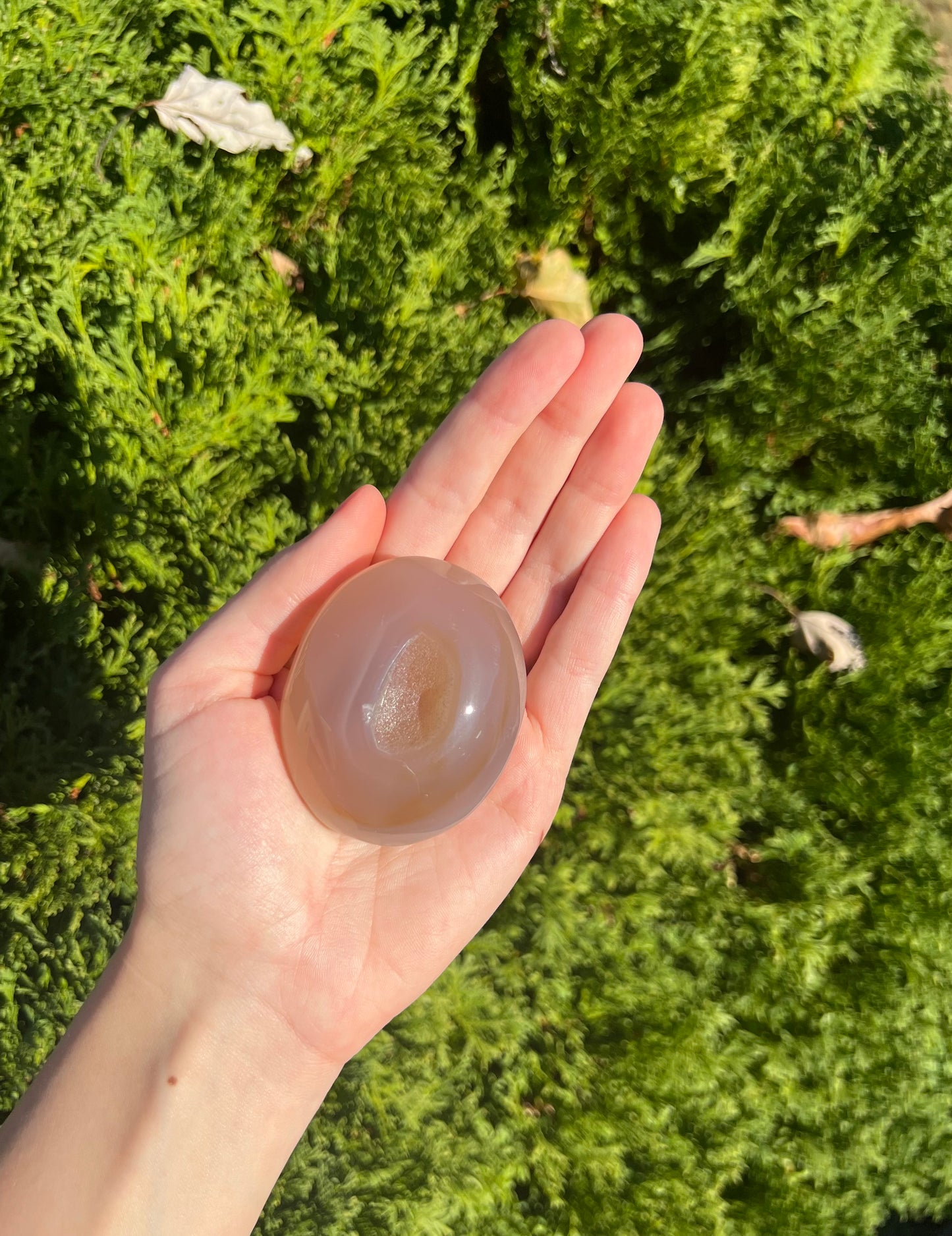 Agate Palm Stone