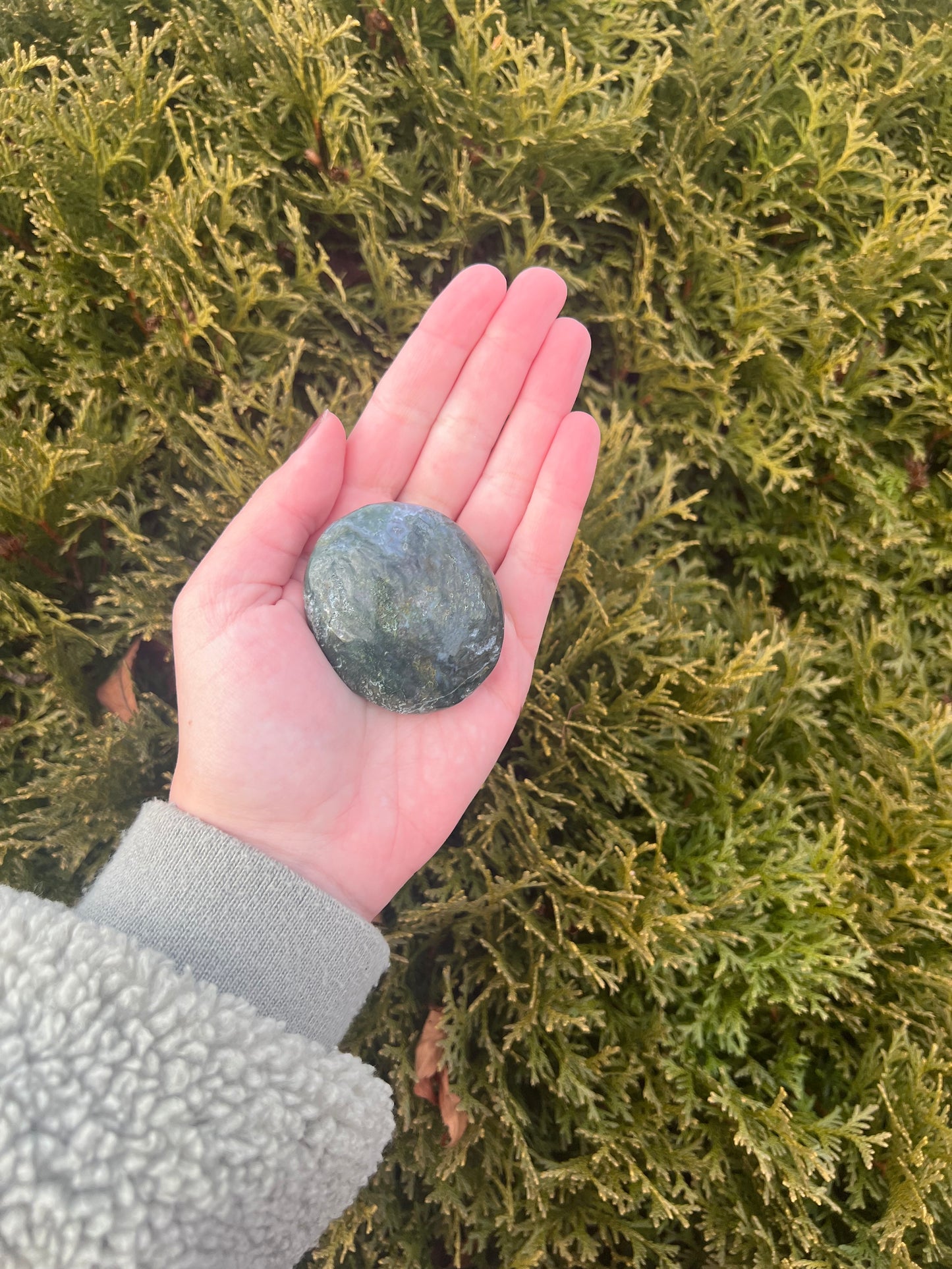 Moss Agate Palm Stone