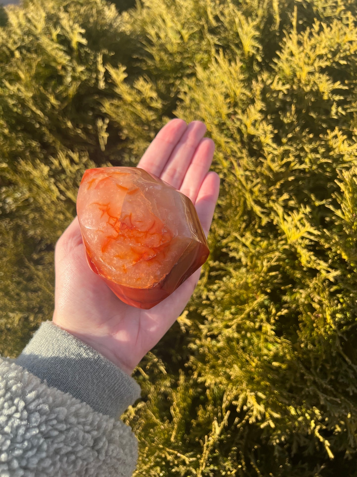 Carnelian Flame 1