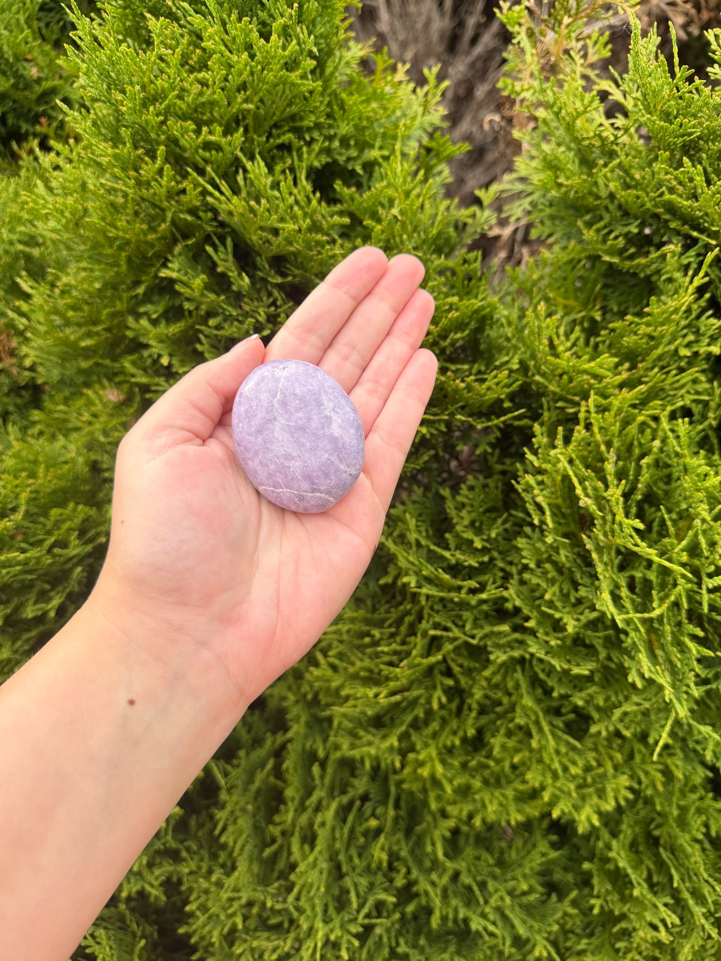 Lepidolite Palm Stone