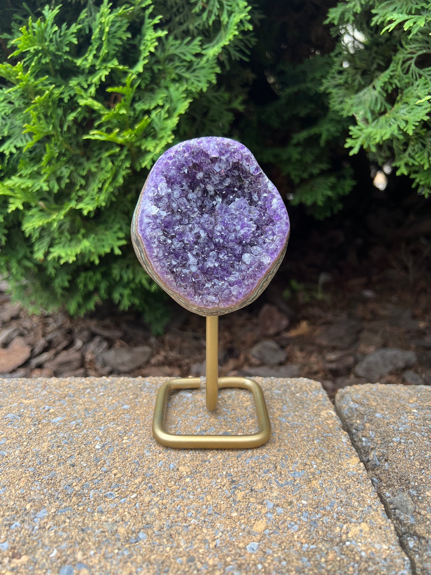 Amethyst Cluster on Stand