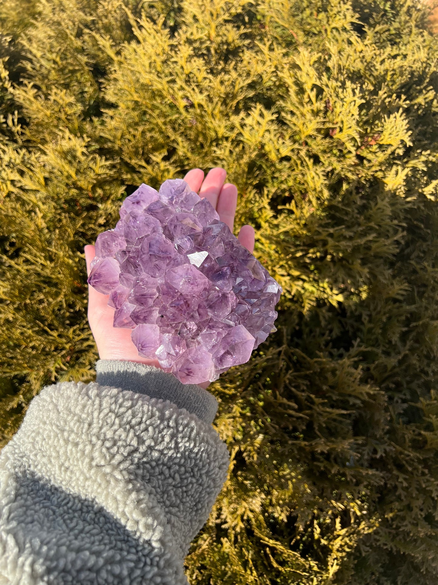 Large Amethyst Cluster