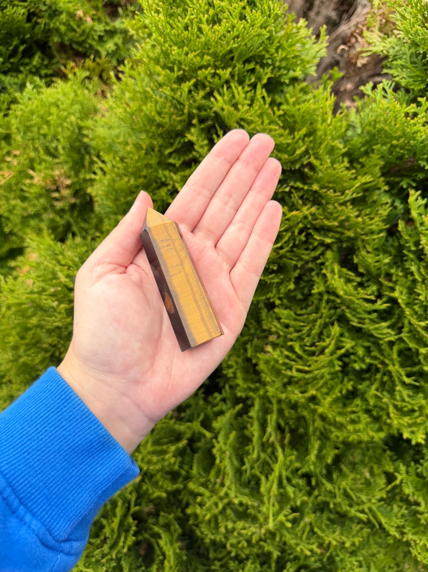 Tiger’s Eye Point 1
