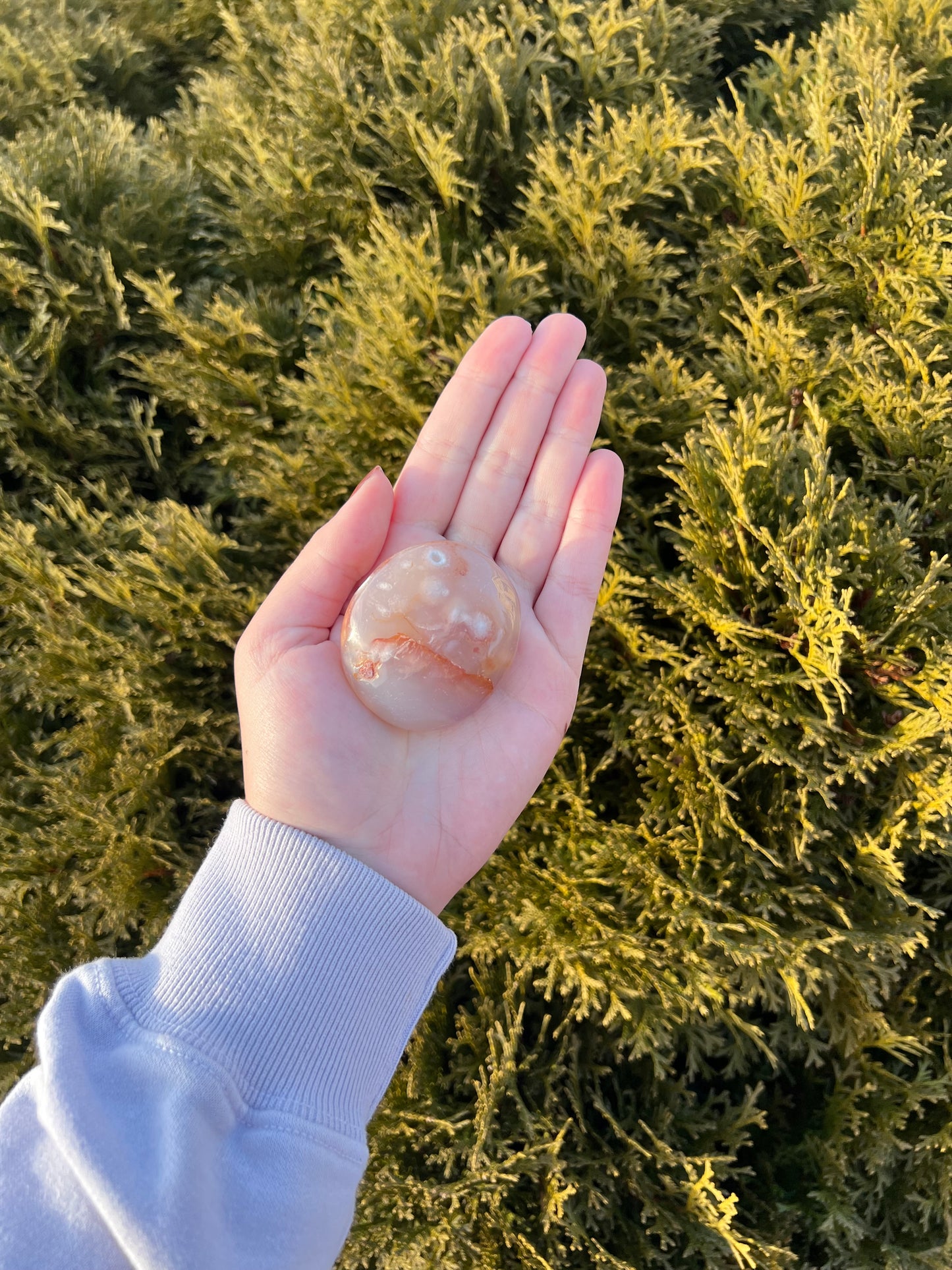 Flower Agate Palm Stone
