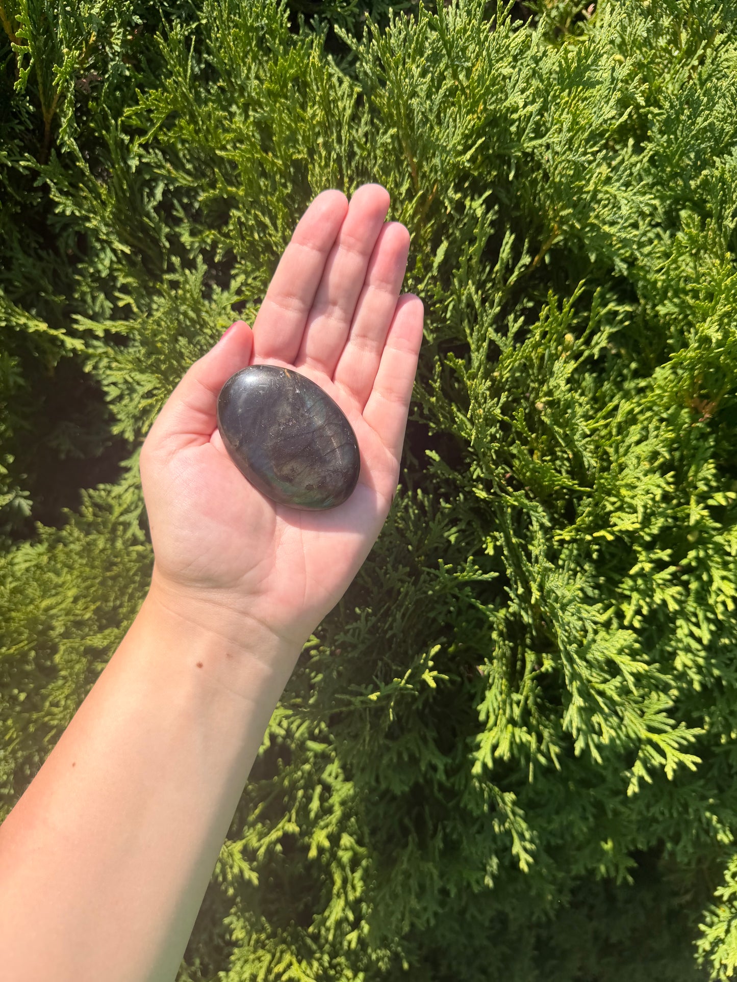 Labradorite Palm Stone