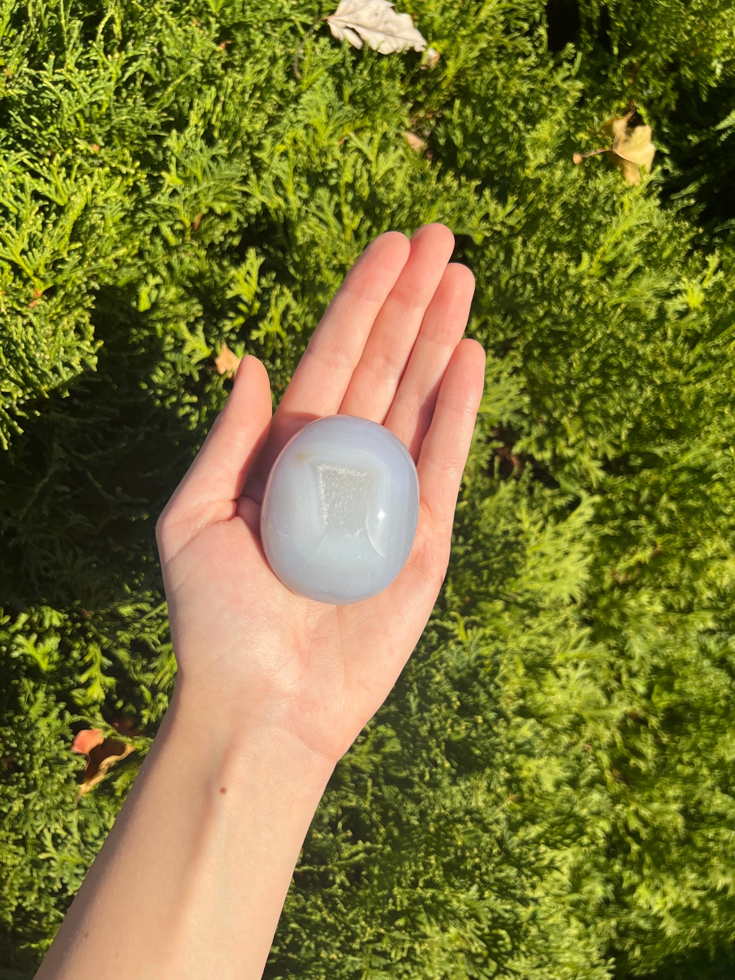 Agate Palm Stone