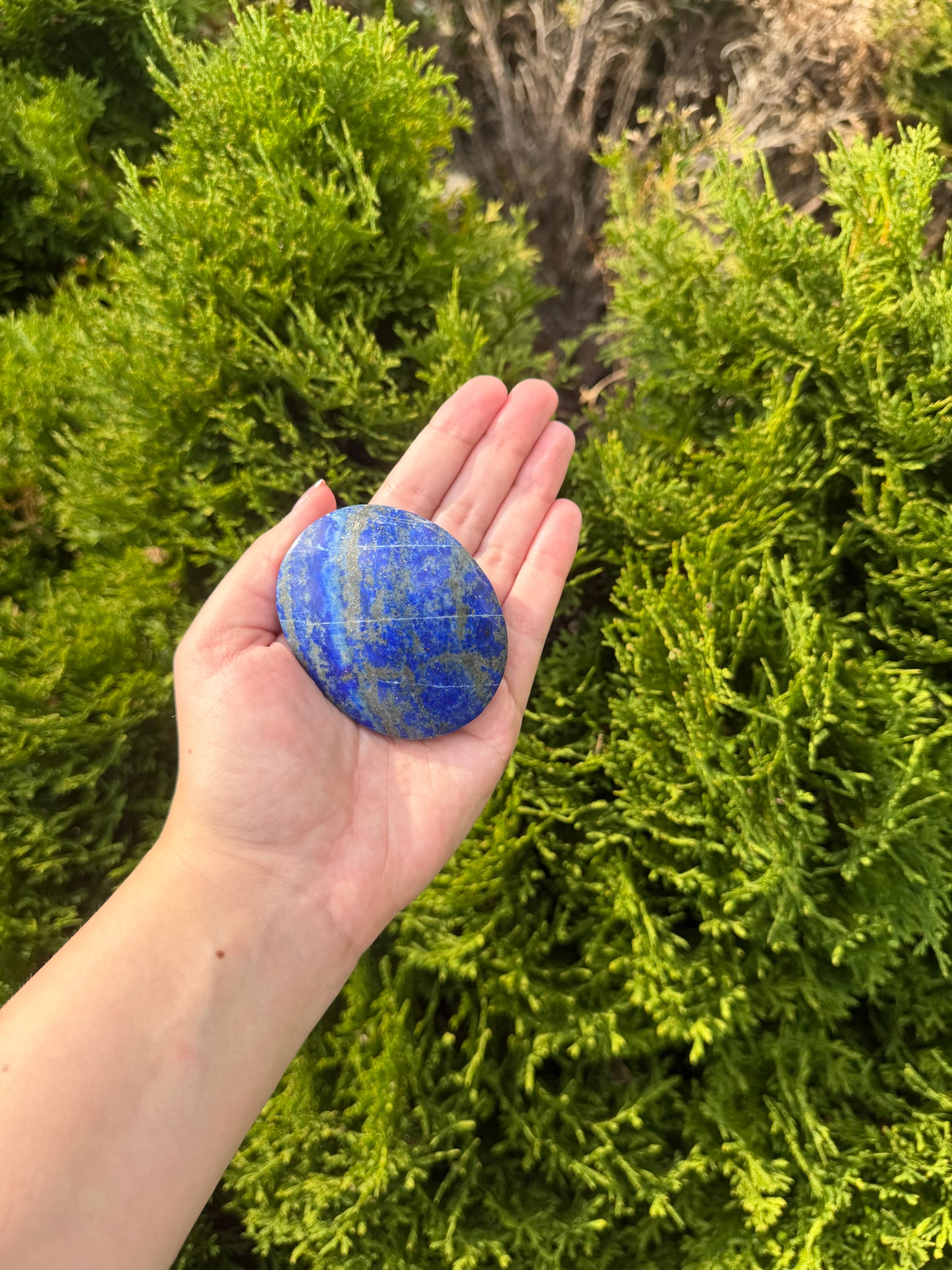 Lapis Lazuli Palm Stone 2