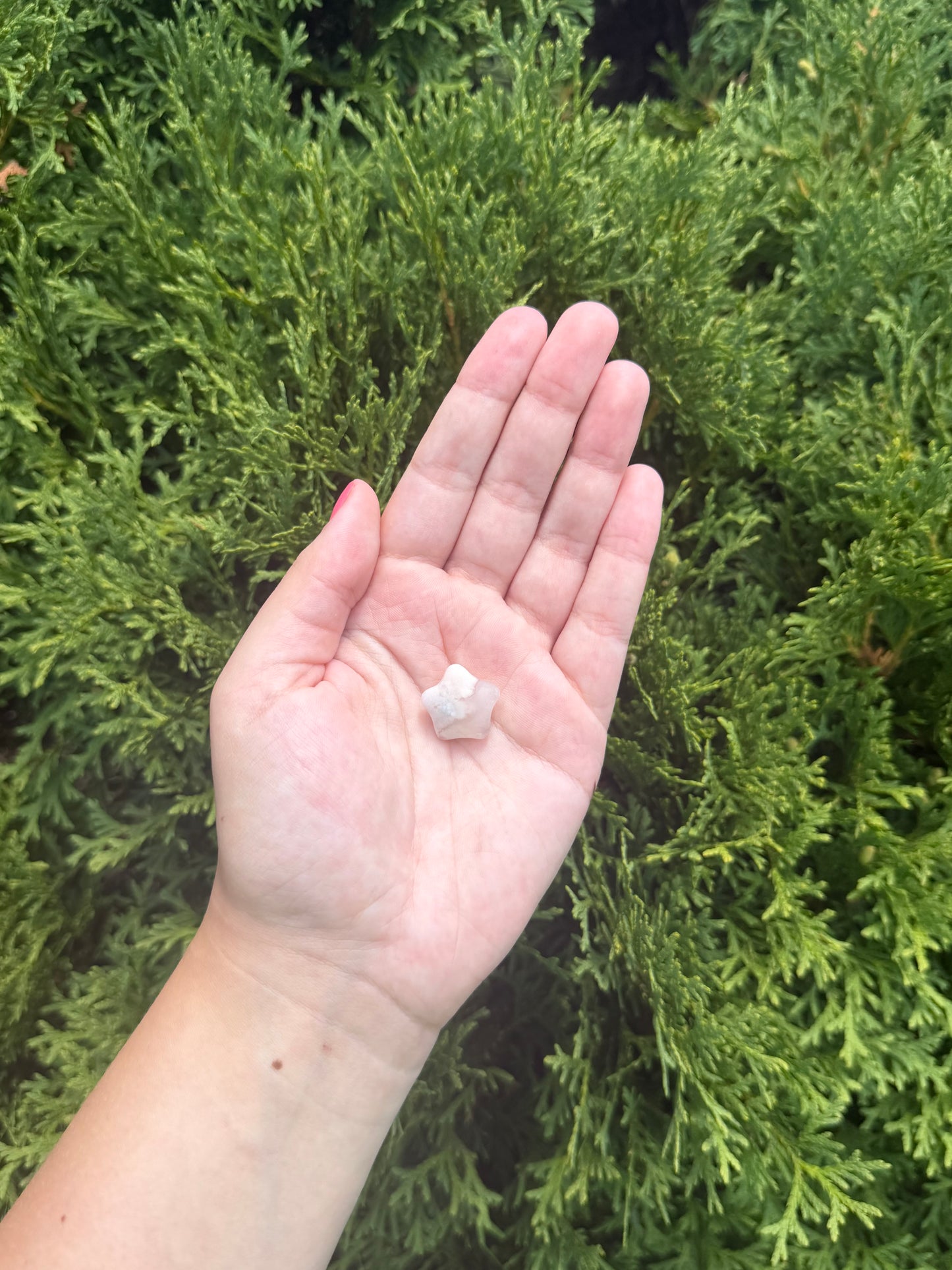 Mini Flower Agate Star