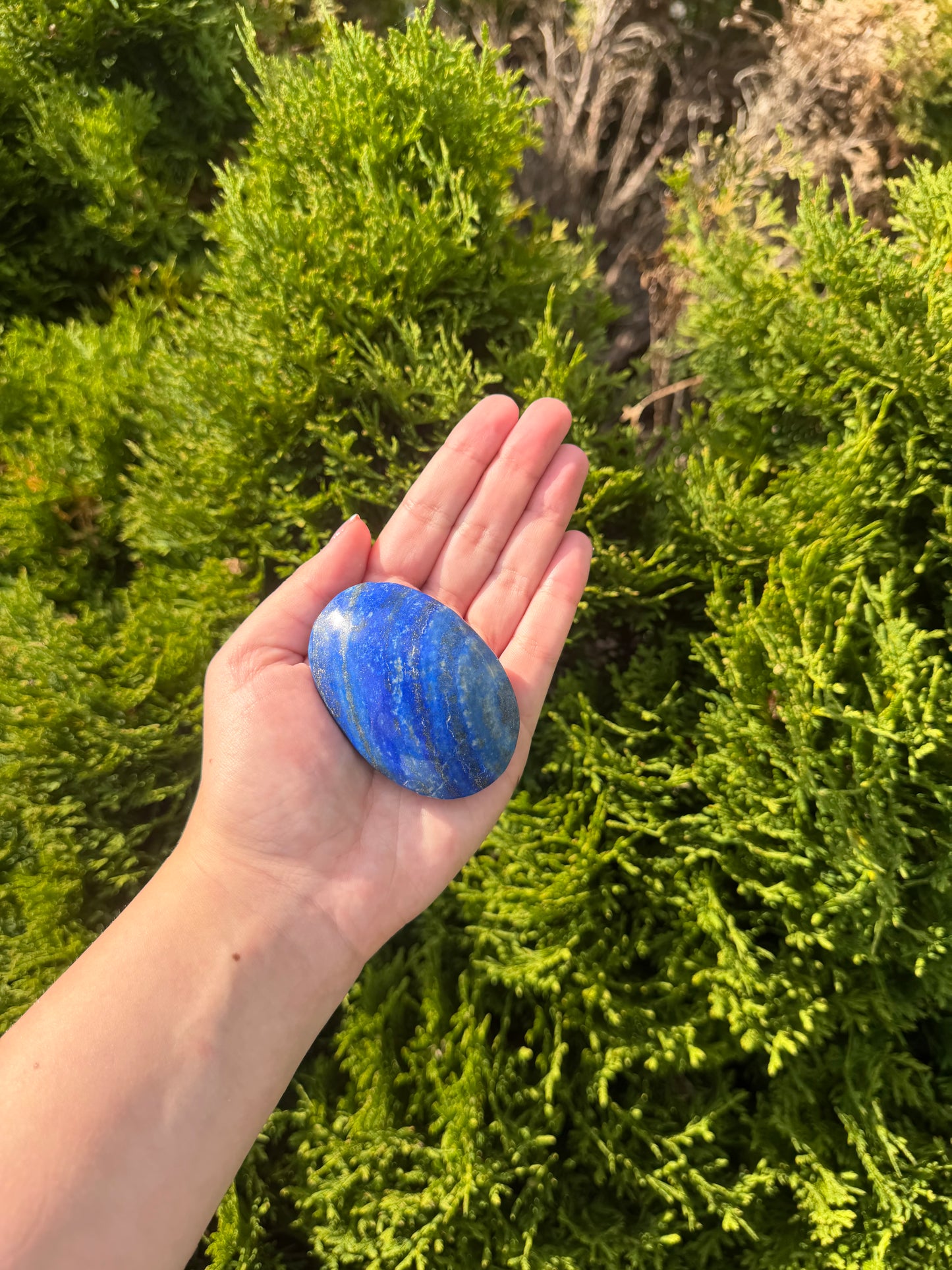 Lapis Lazuli Palm Stone 1