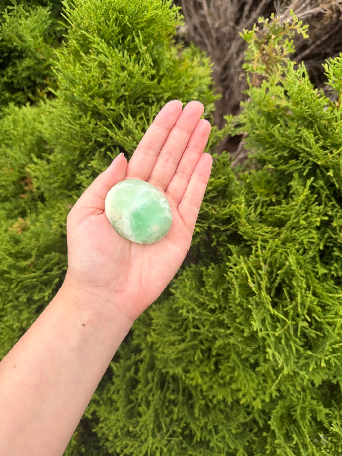 Pistachio Calcite Palm Stone