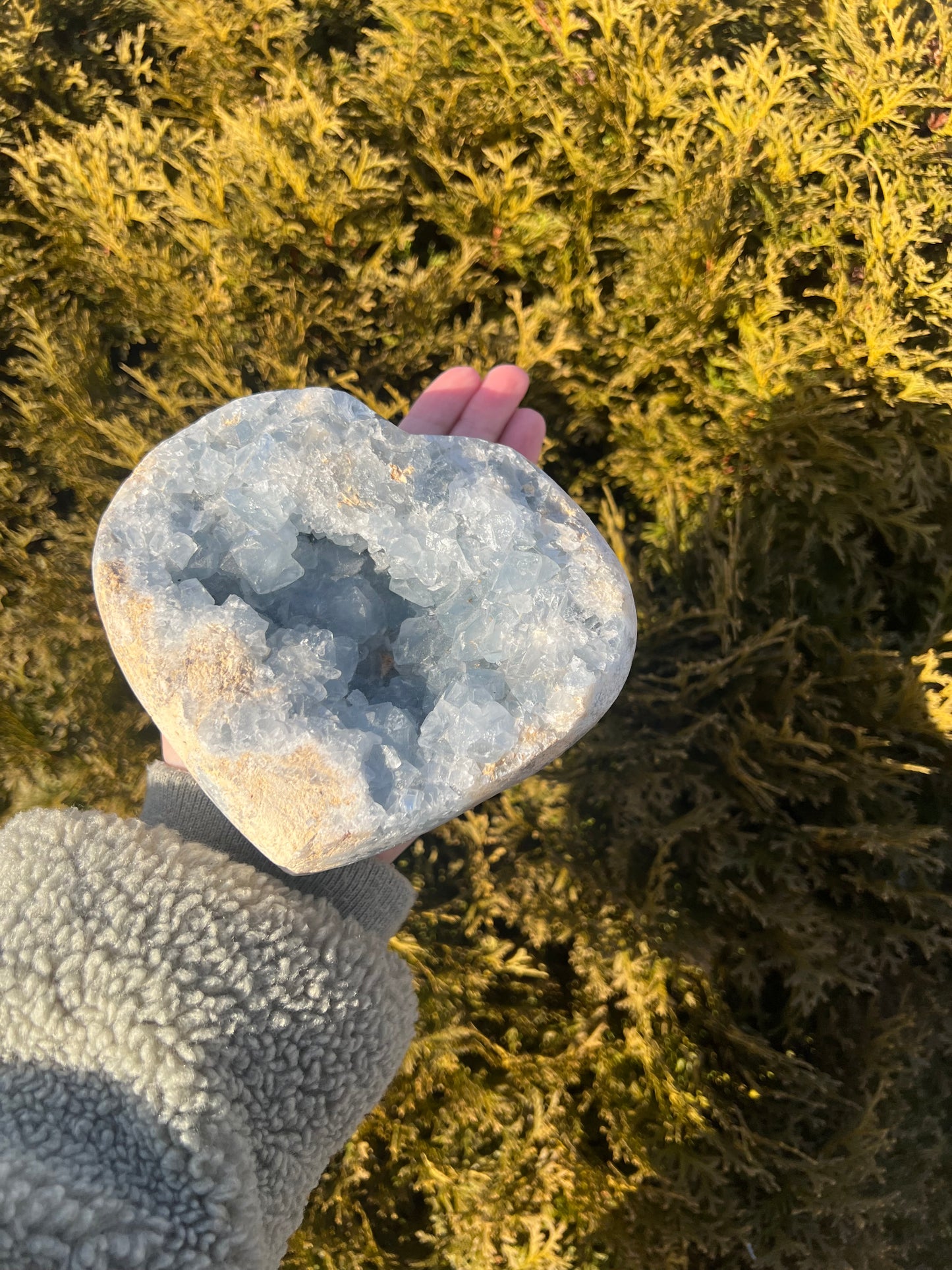 Large 4lb Celestite Heart Cluster