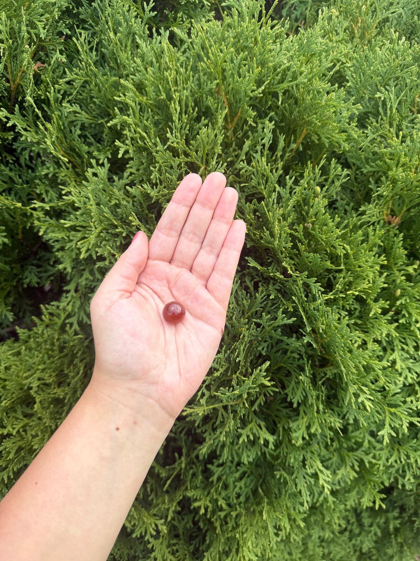 Mini Carnelian Sphere