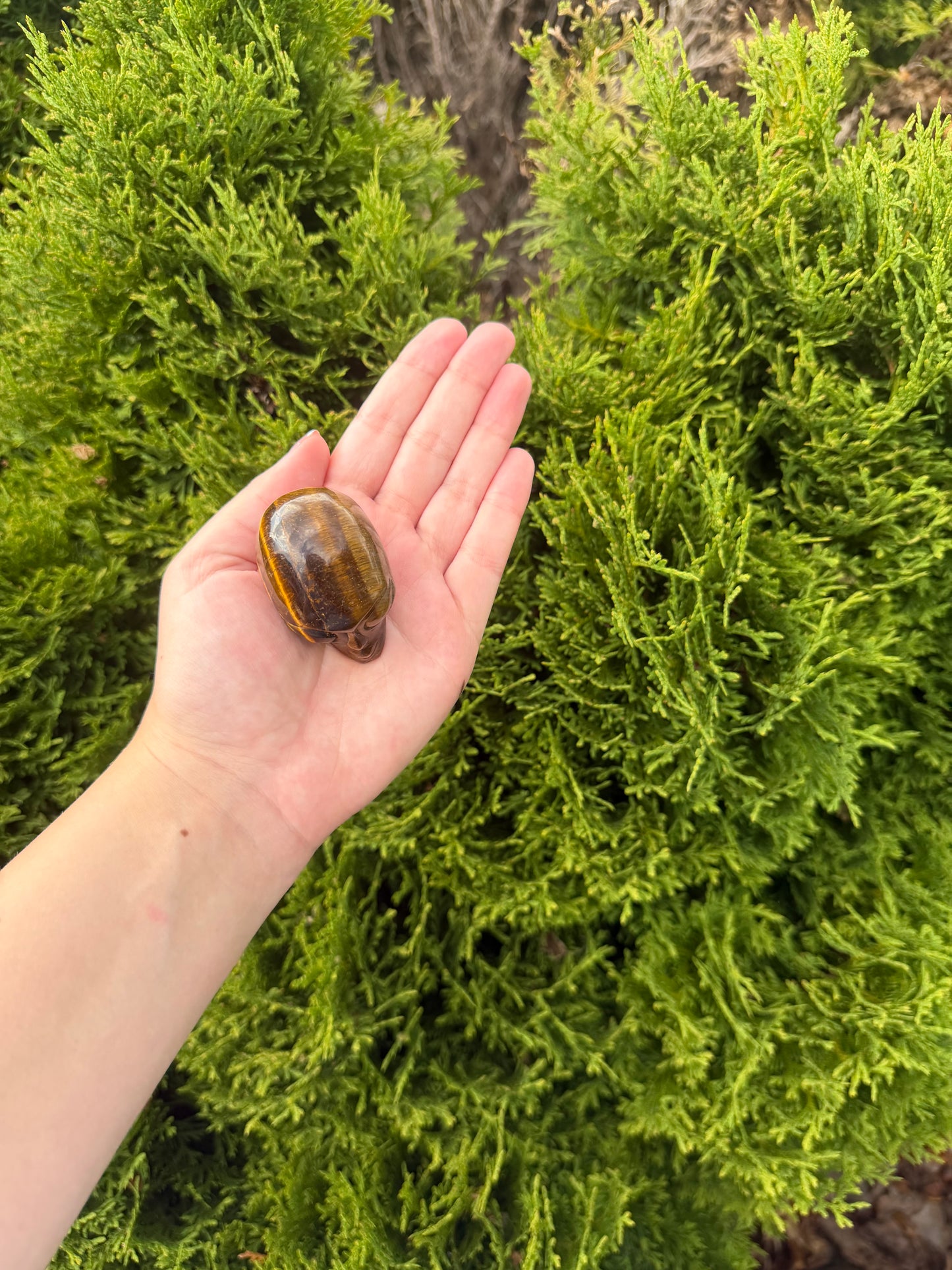 Tiger’s Eye Alien Head