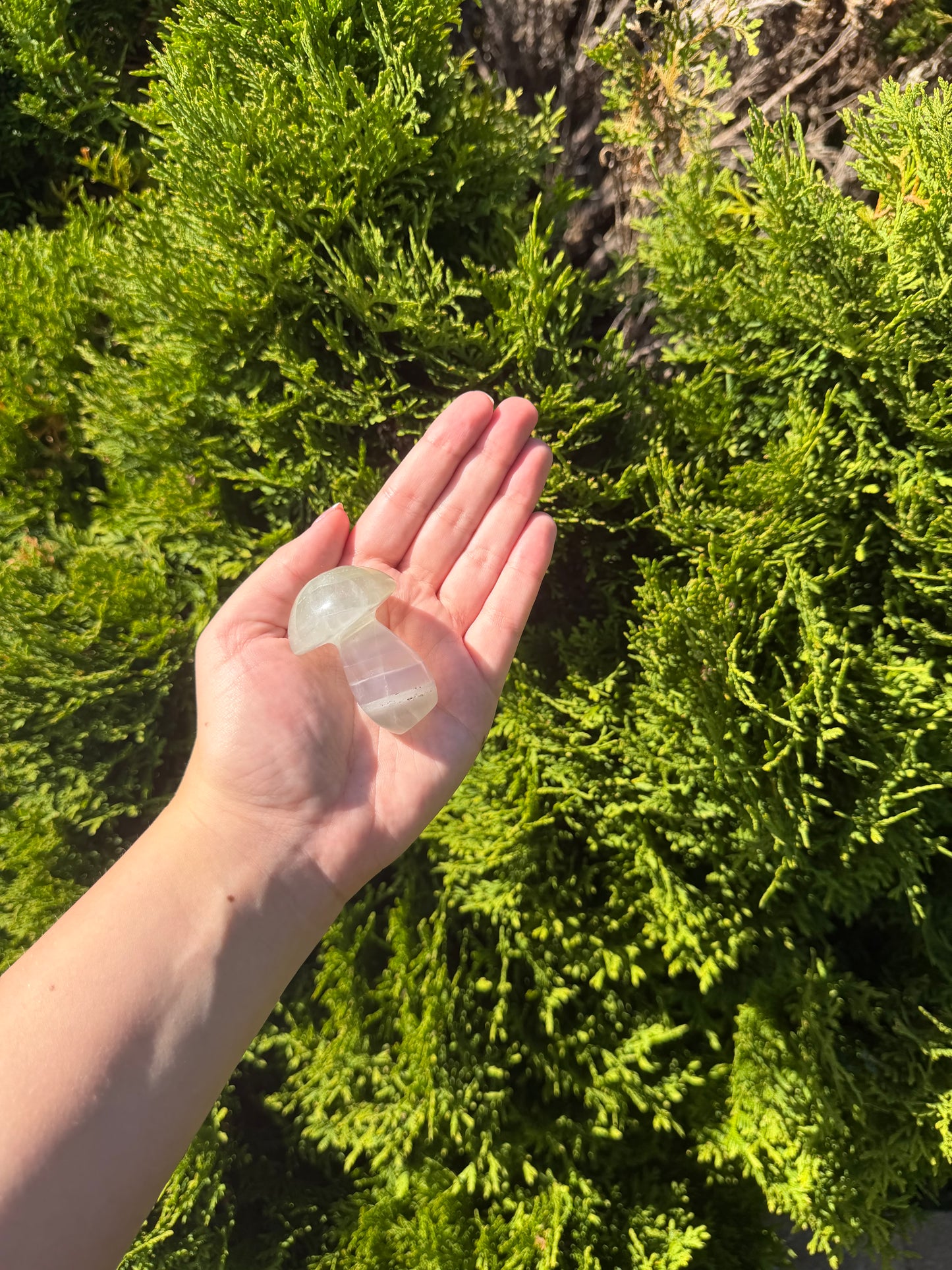 Fluorite Mushroom