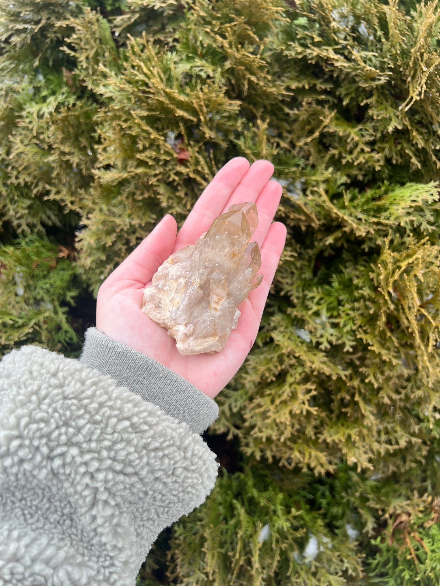 Kundalini Citrine Cluster