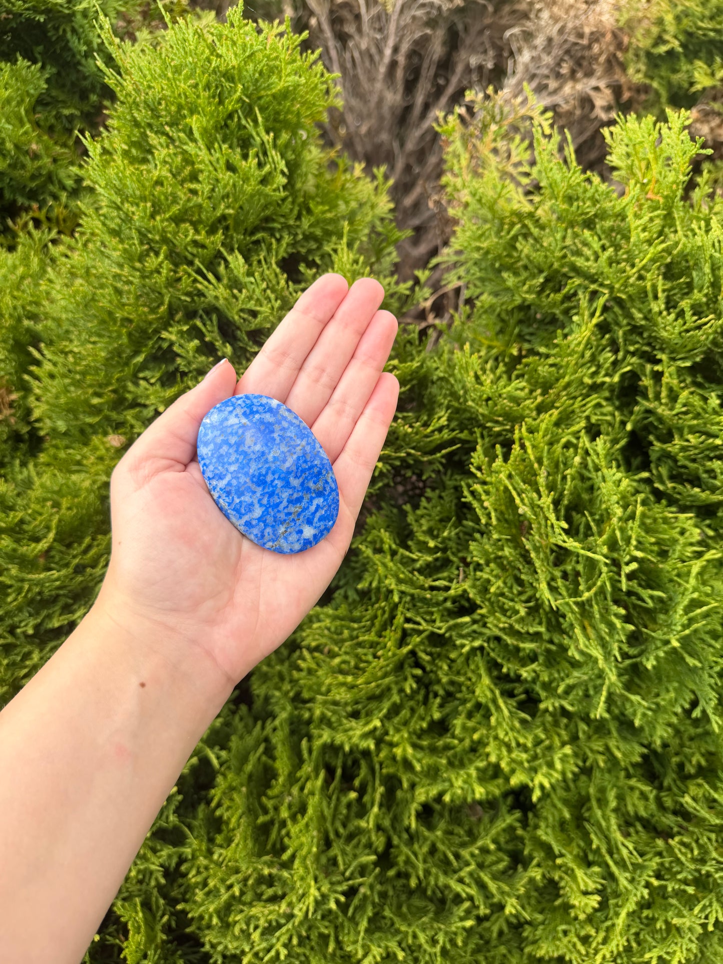 Lapis Lazuli Palm Stone 3