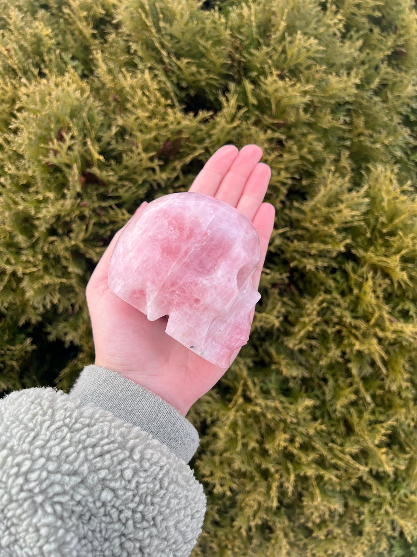 Rose Quartz Skull
