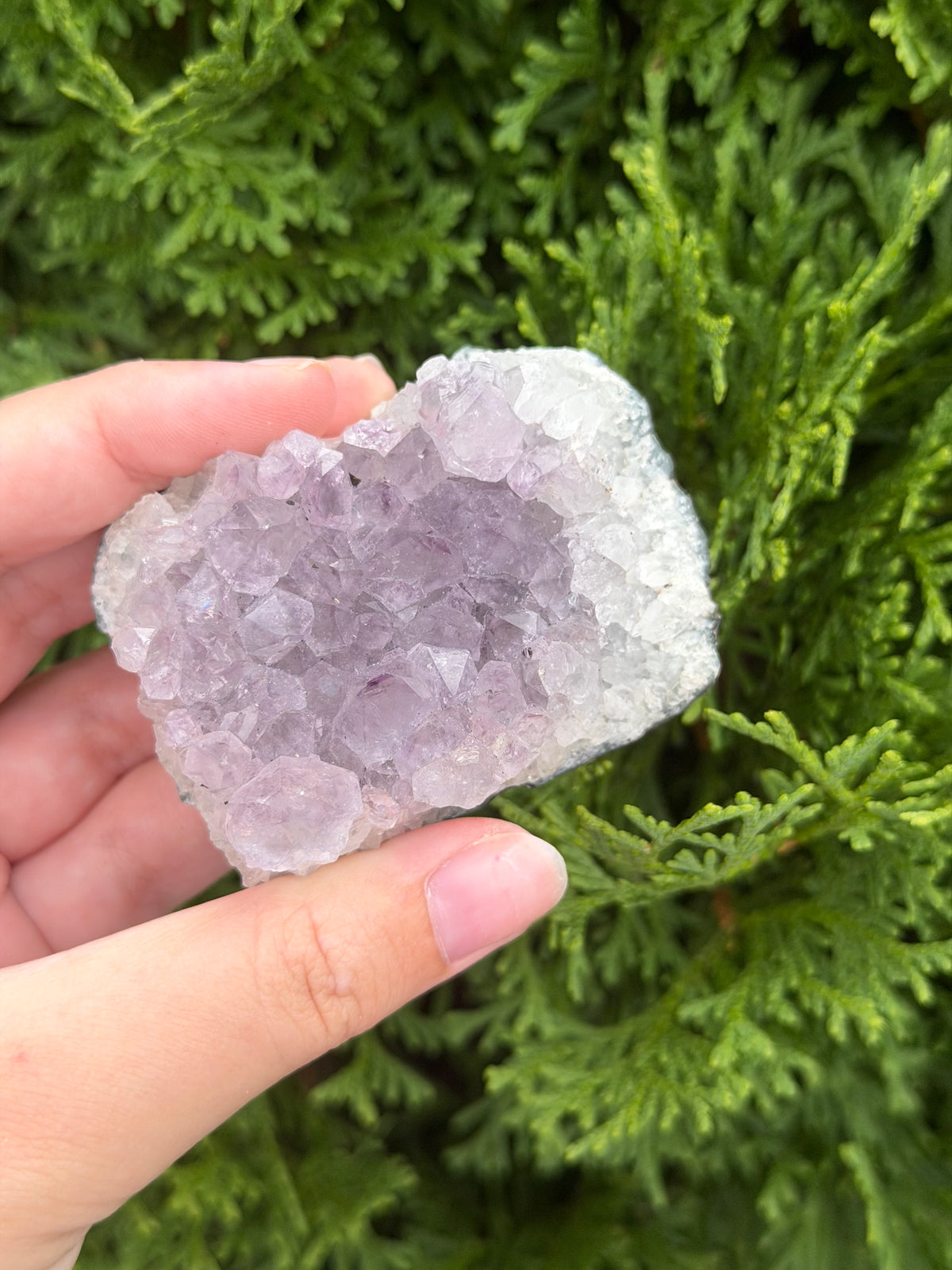 Raw Amethyst Crystal