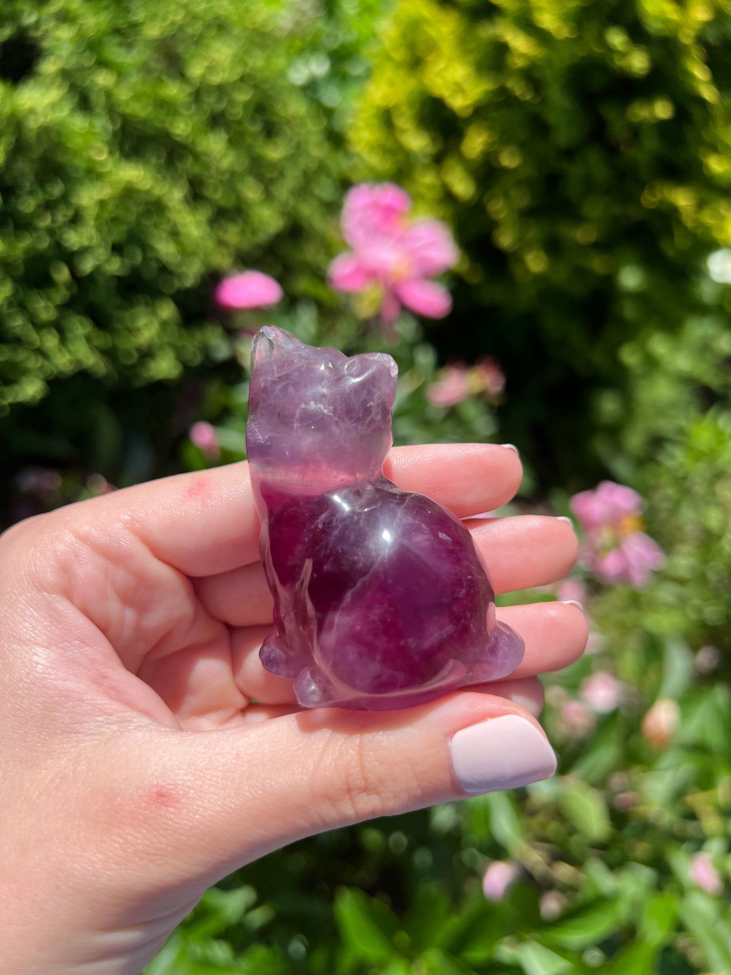 Fluorite Cat
