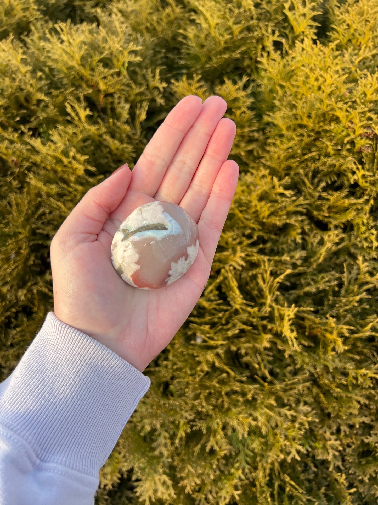 Flower Agate Palm Stone