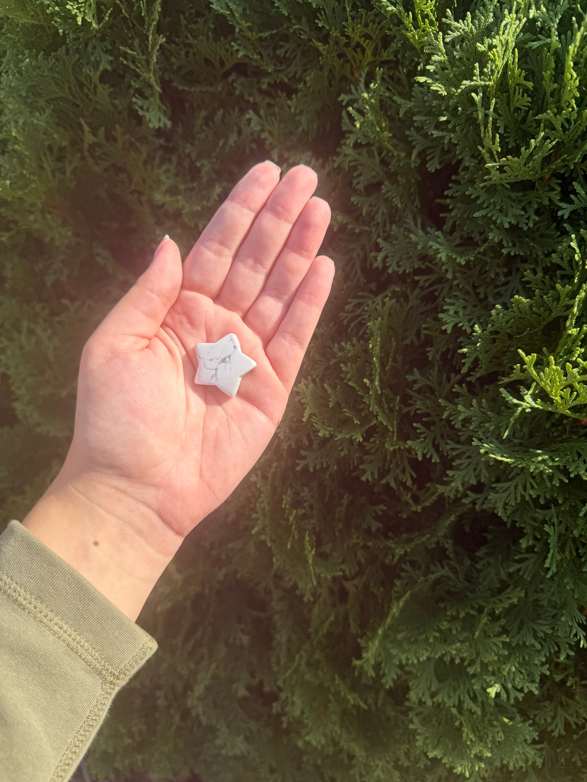 Howlite Mini Star