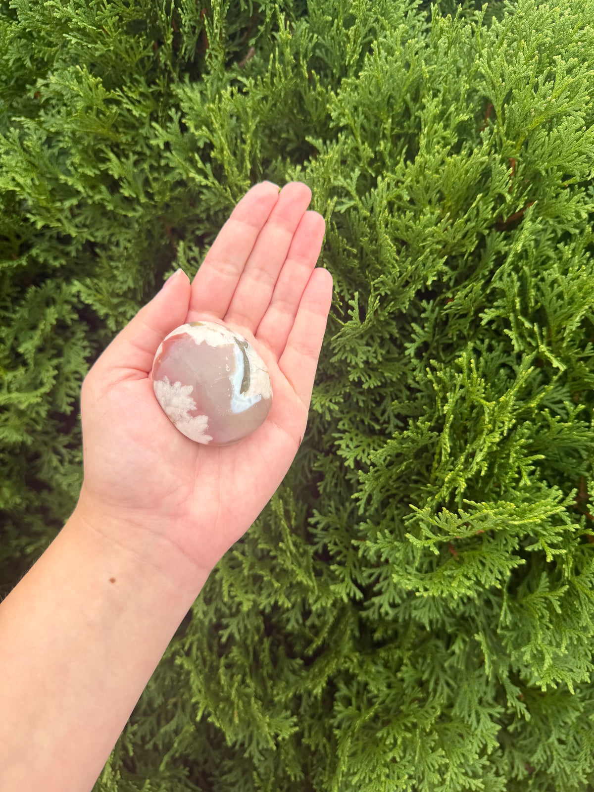 Flower Agate Palm Stone