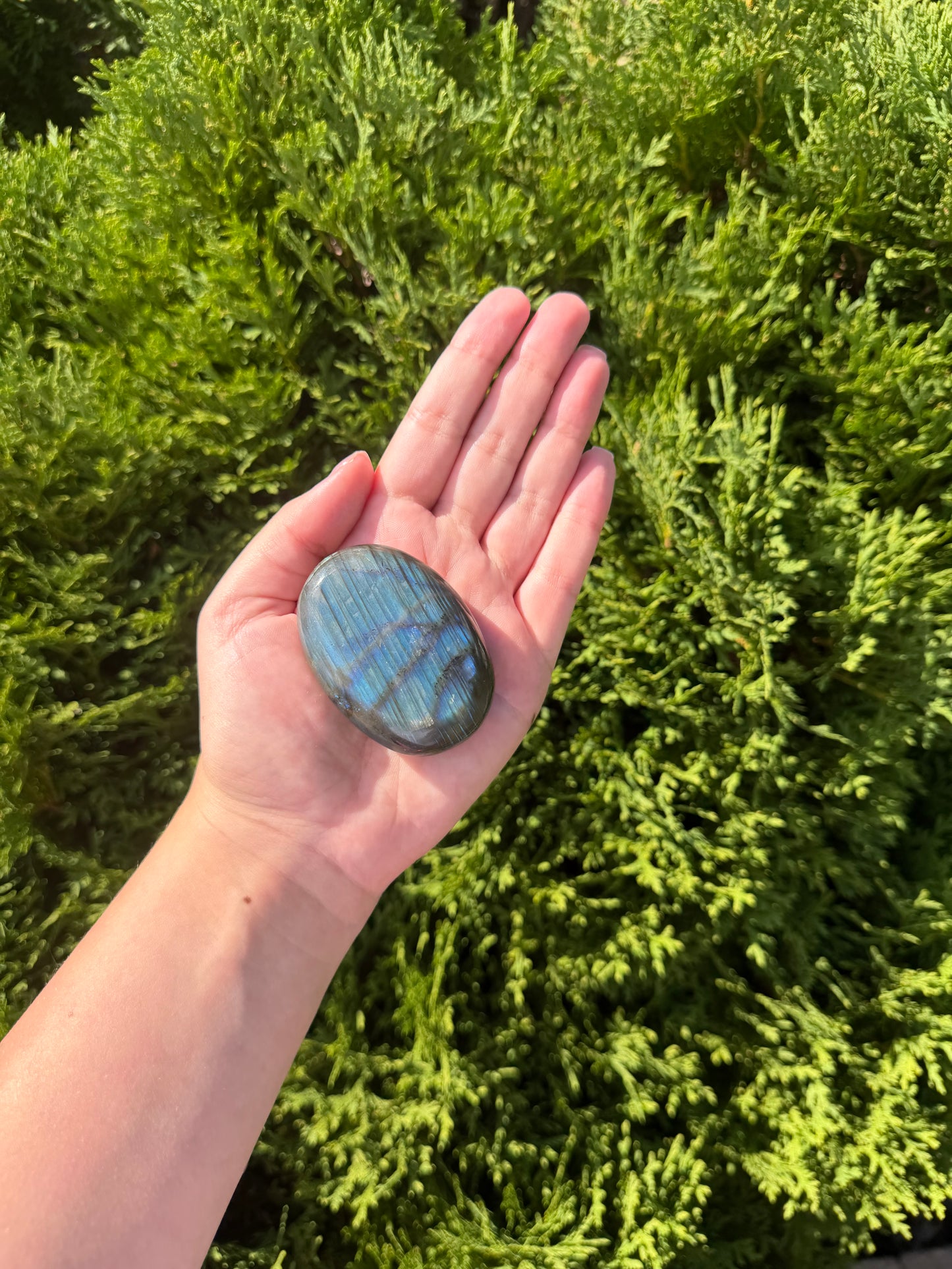 Labradorite Palm Stone