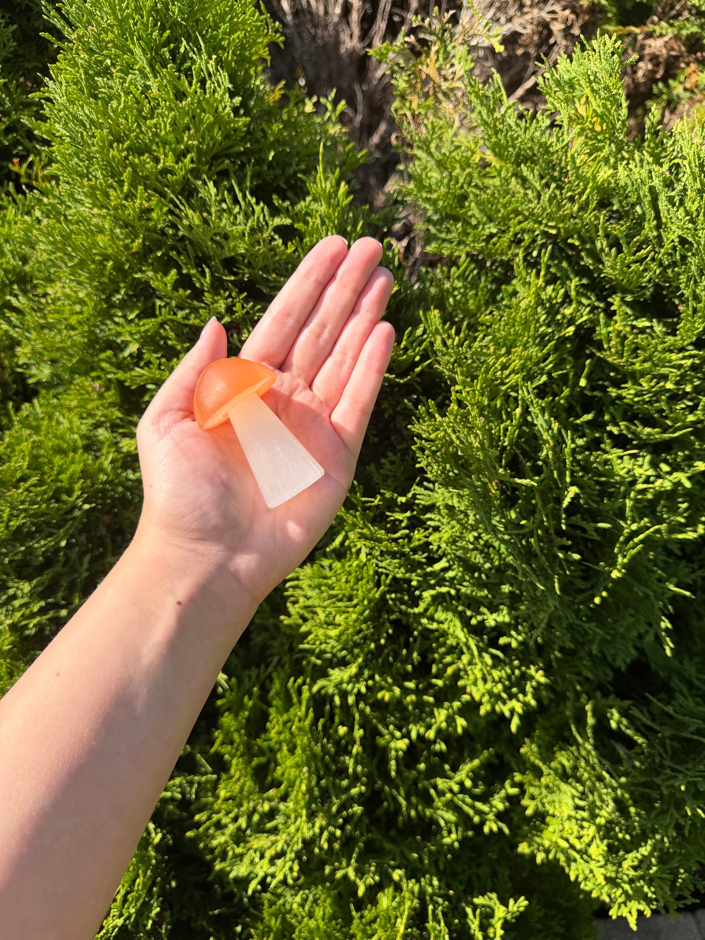 Large Selenite Mushroom