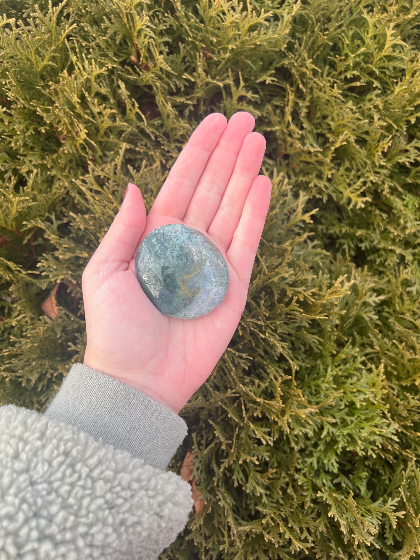 Moss Agate Palm Stone