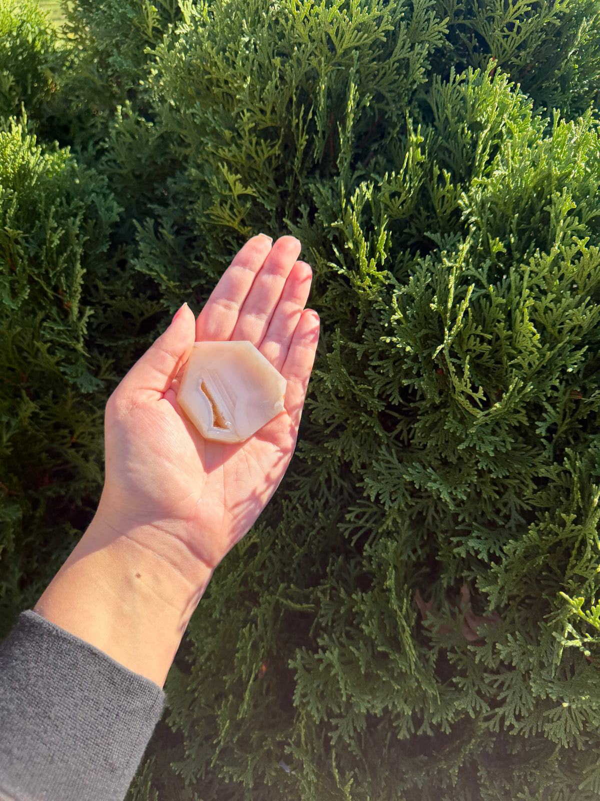 Flower Agate Druzy Point