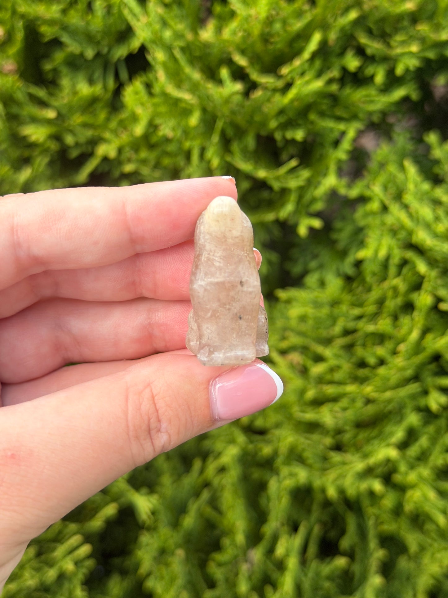 Moonstone Wolf 1