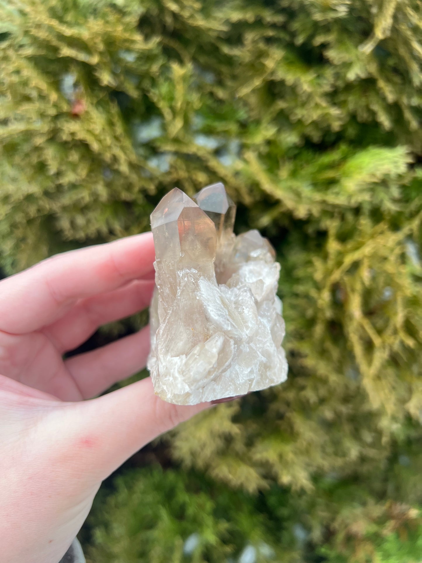 Kundalini Citrine Cluster