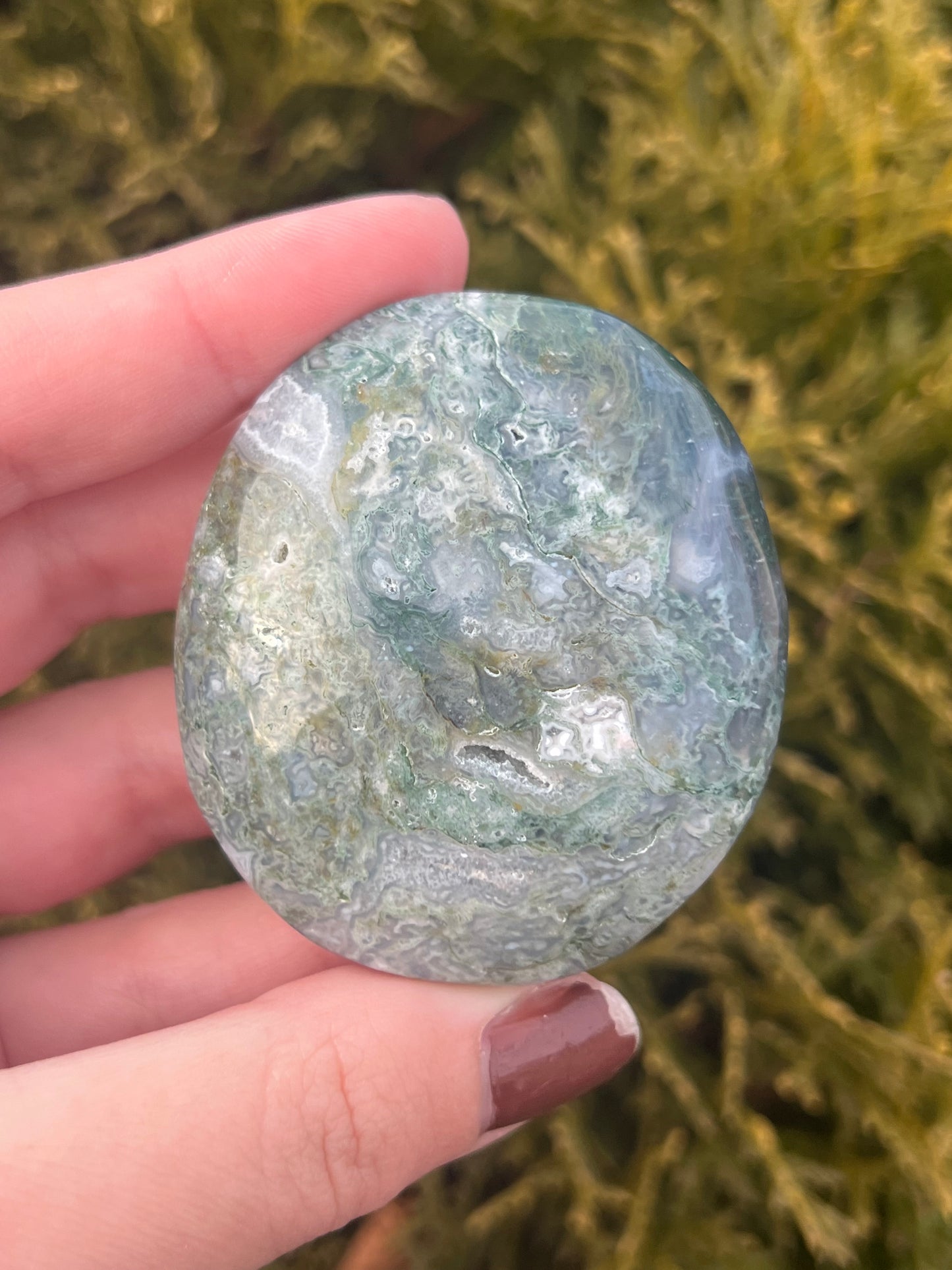 Moss Agate Palm Stone