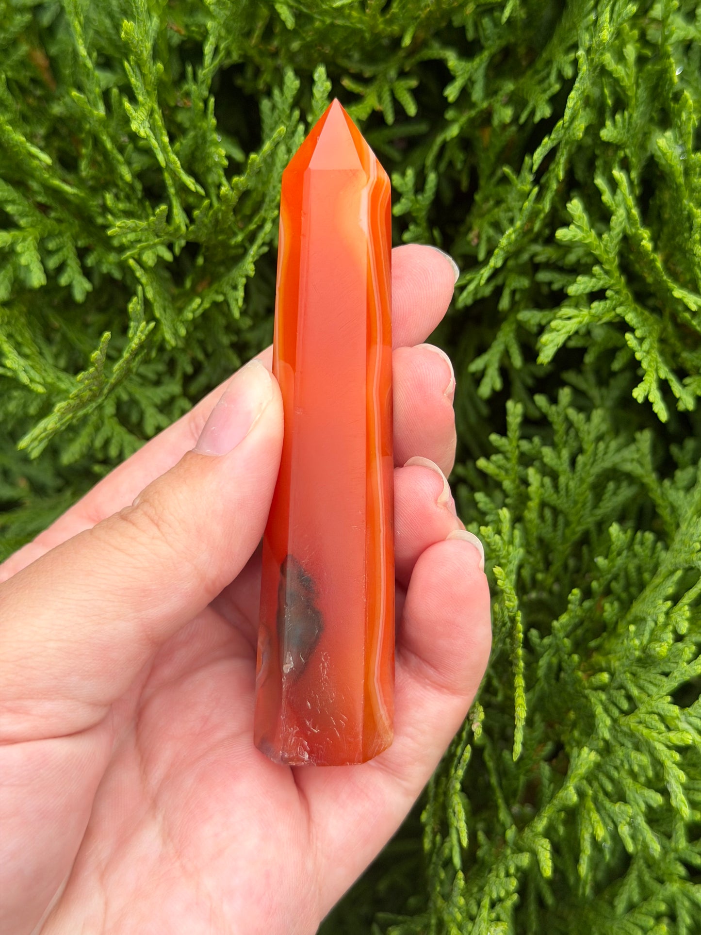 Carnelian Point