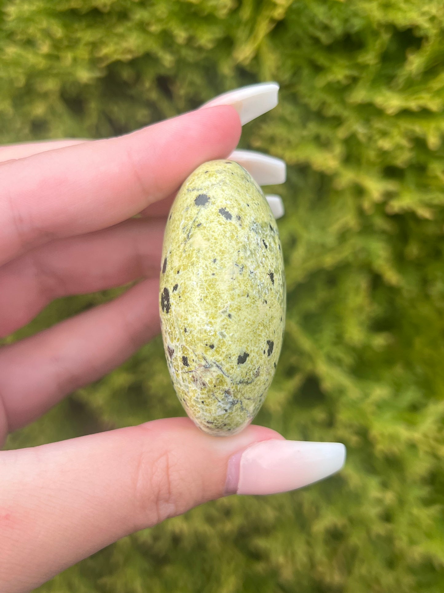 Serpentine Jasper Palm Stone
