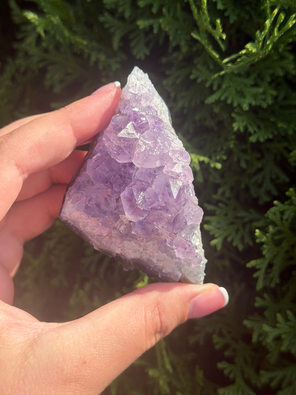 Raw Amethyst Cluster
