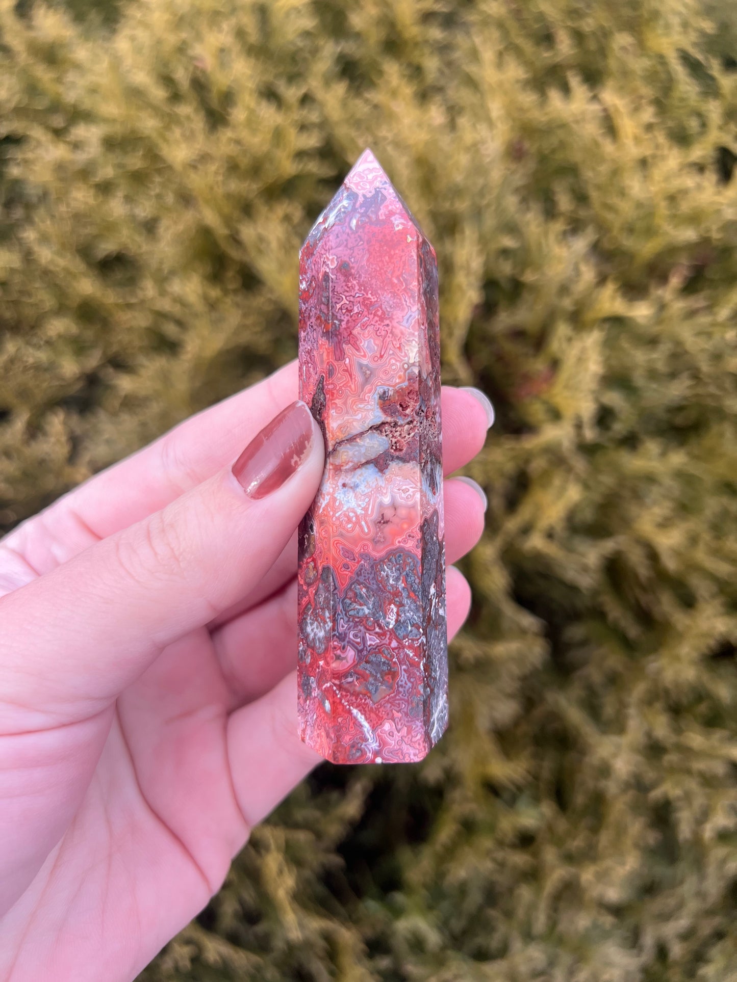 Mexico Lace Agate Point
