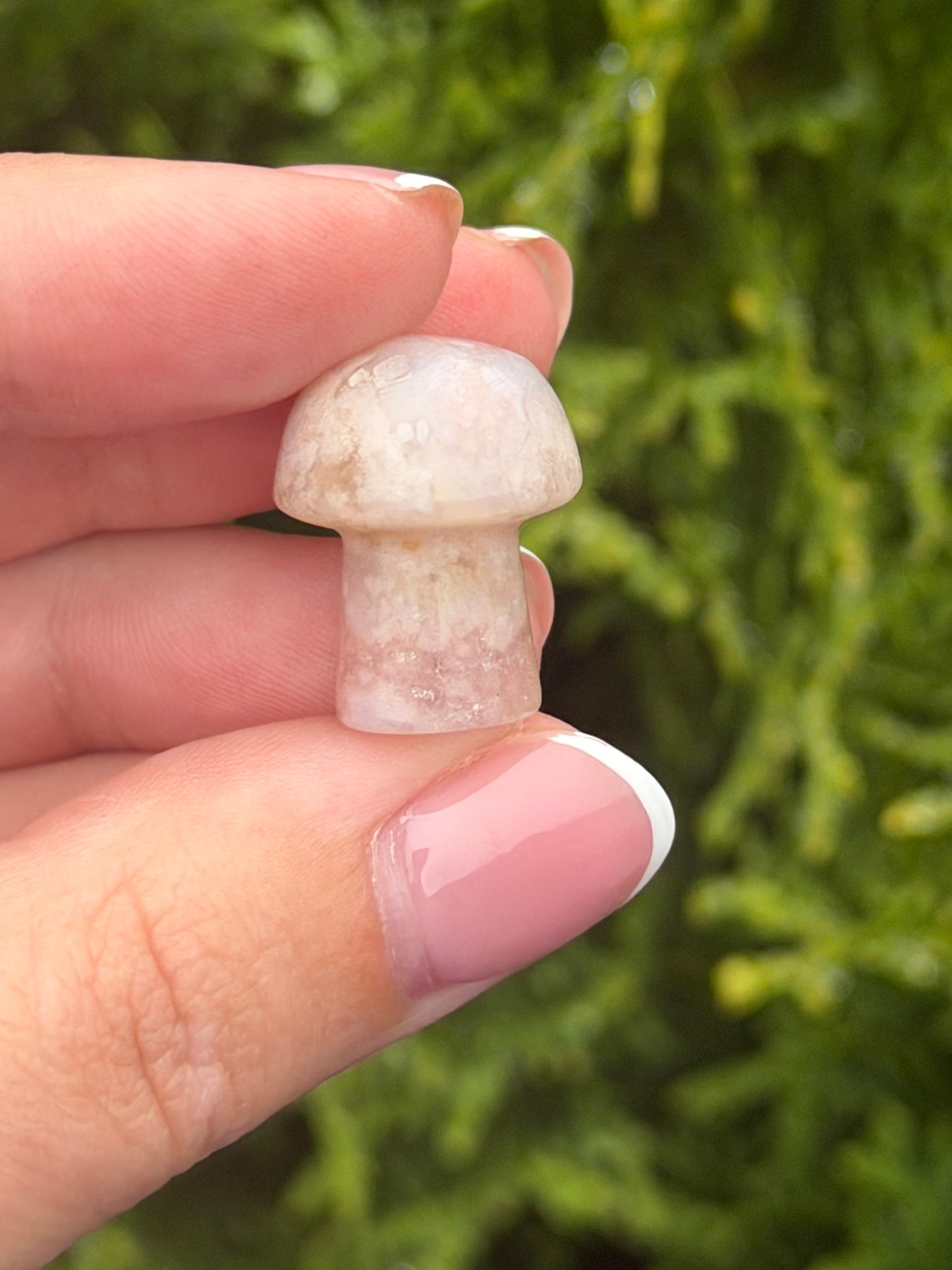 Mini Flower Agate Mushroom