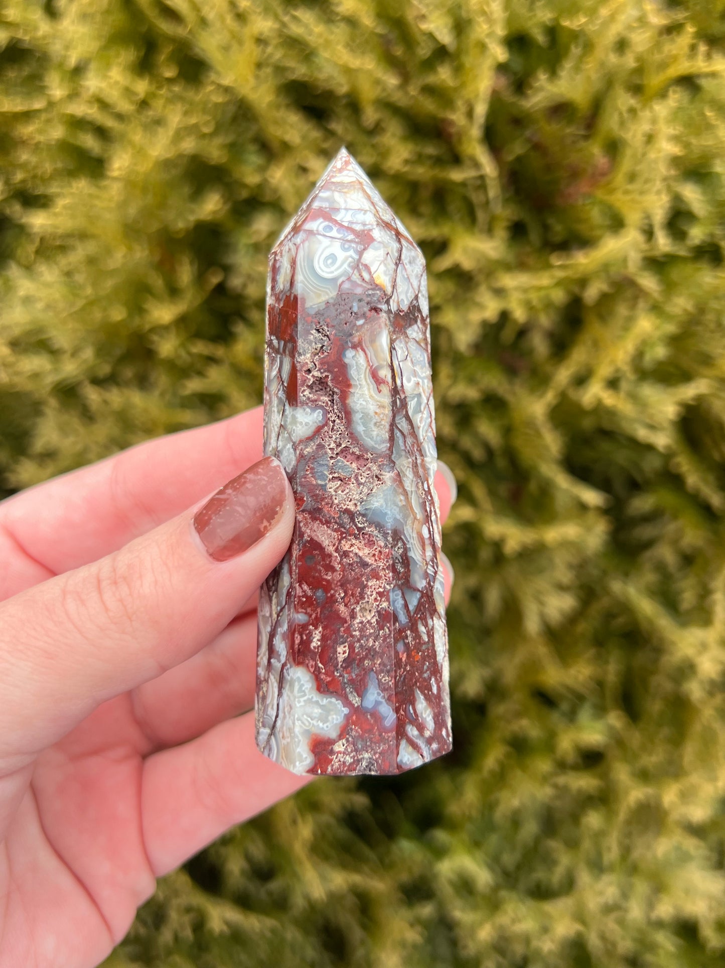 Mexico Lace Agate Point