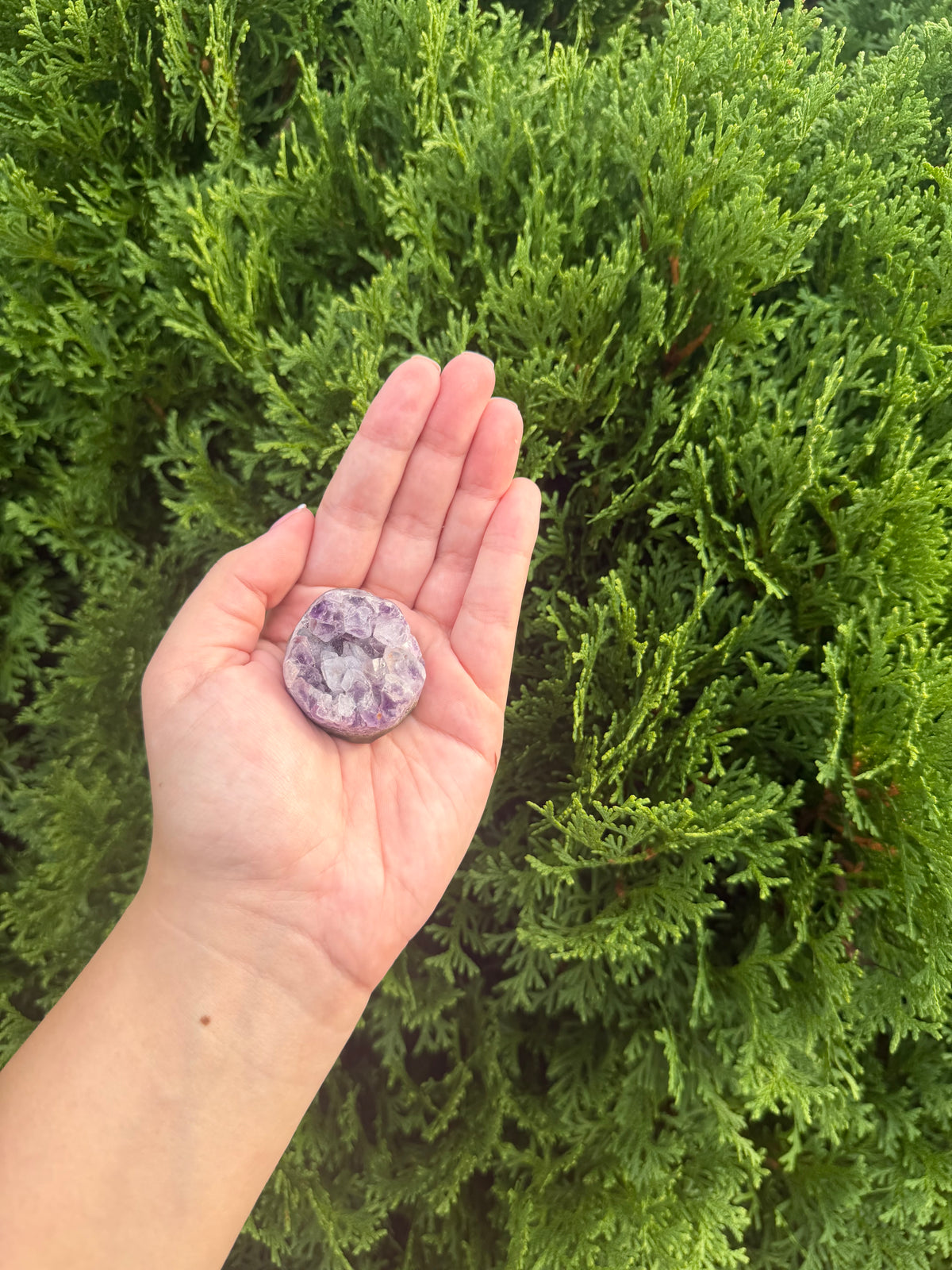 Mini Amethyst Cluster