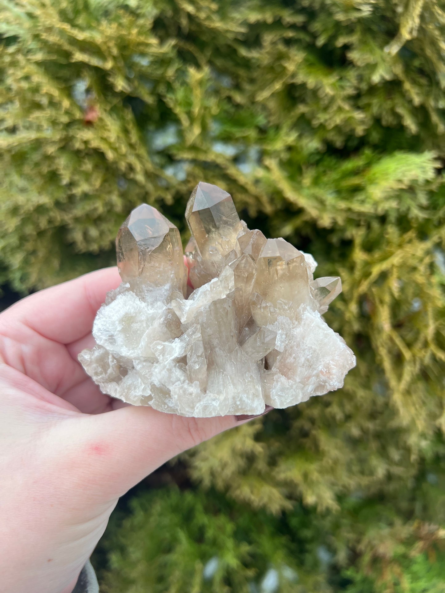 Kundalini Citrine Cluster