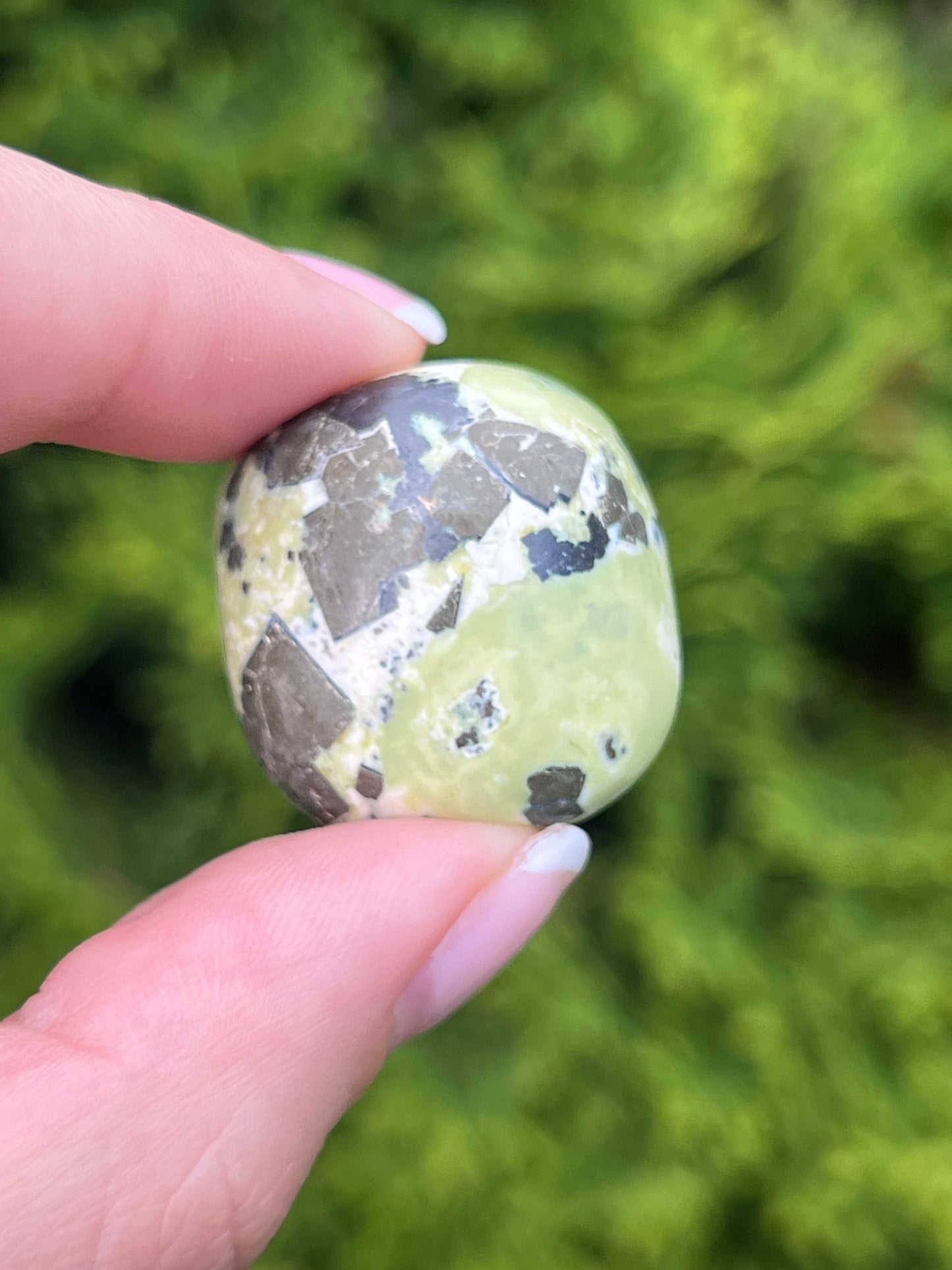 Serpentine Jasper Tumbled Stones