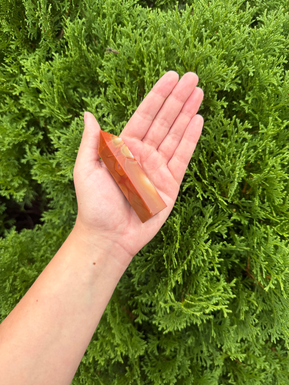 Carnelian Point