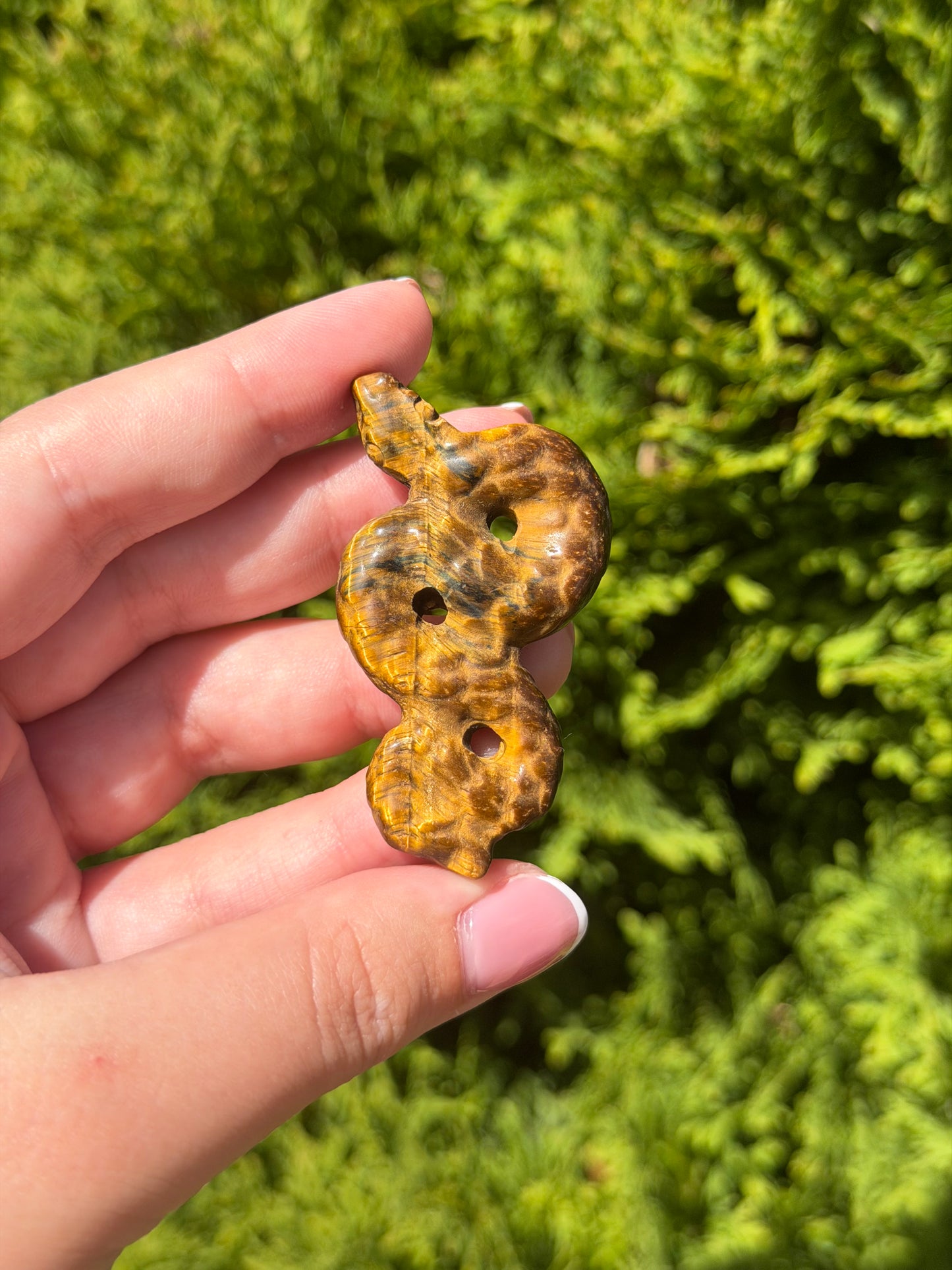 Tiger’s Eye Snake