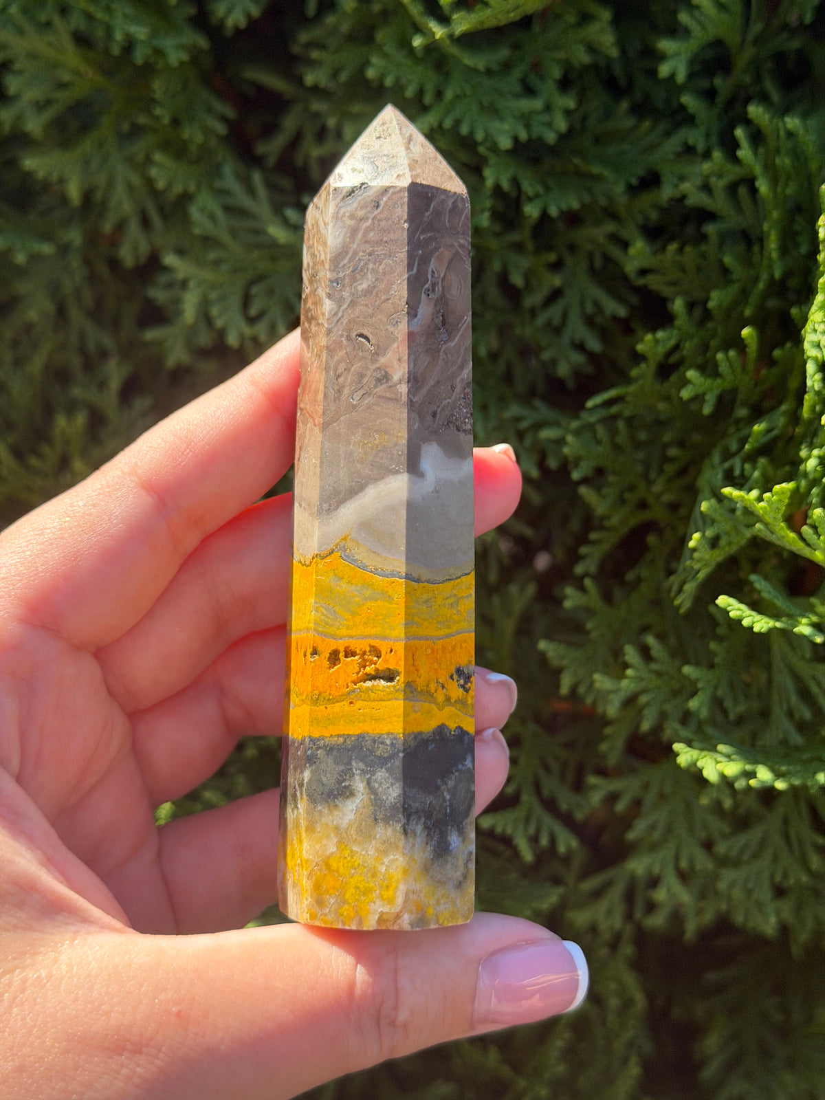 Bumblebee Jasper Point #2