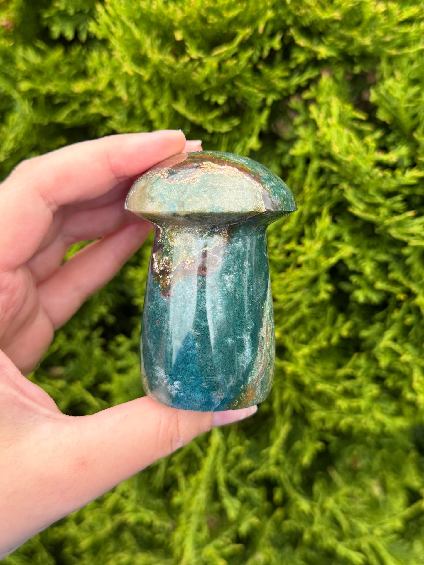 Ocean Jasper Mushroom