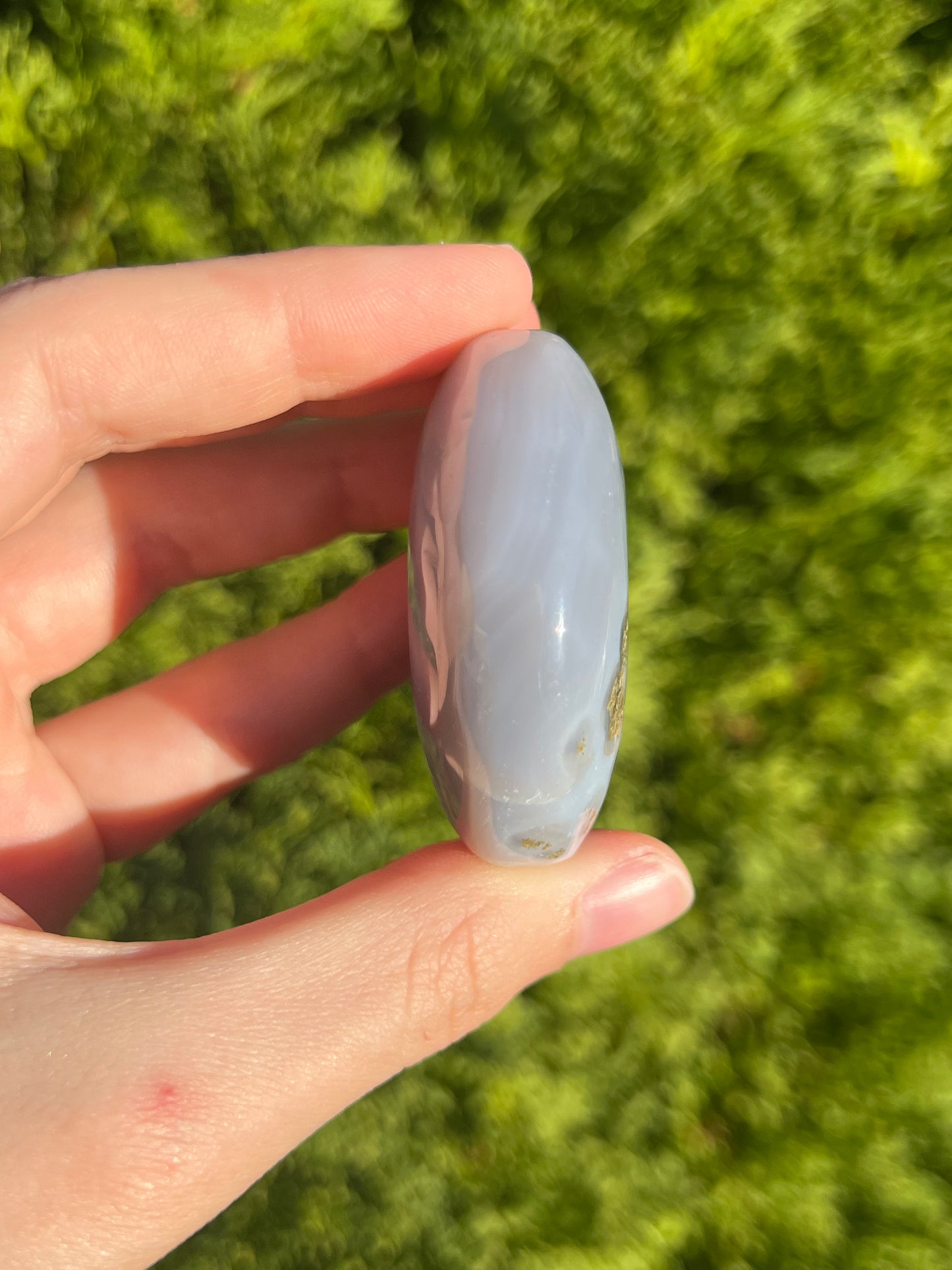 Agate Palm Stone with little bit of moss